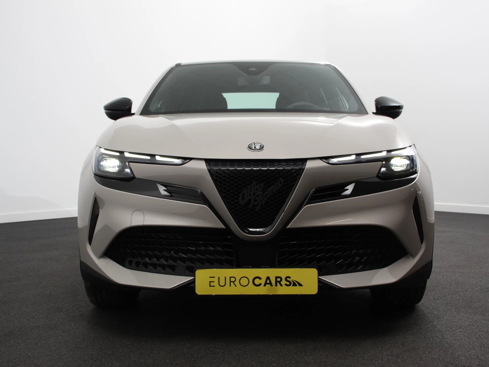 Hoofdafbeelding Alfa Romeo Junior