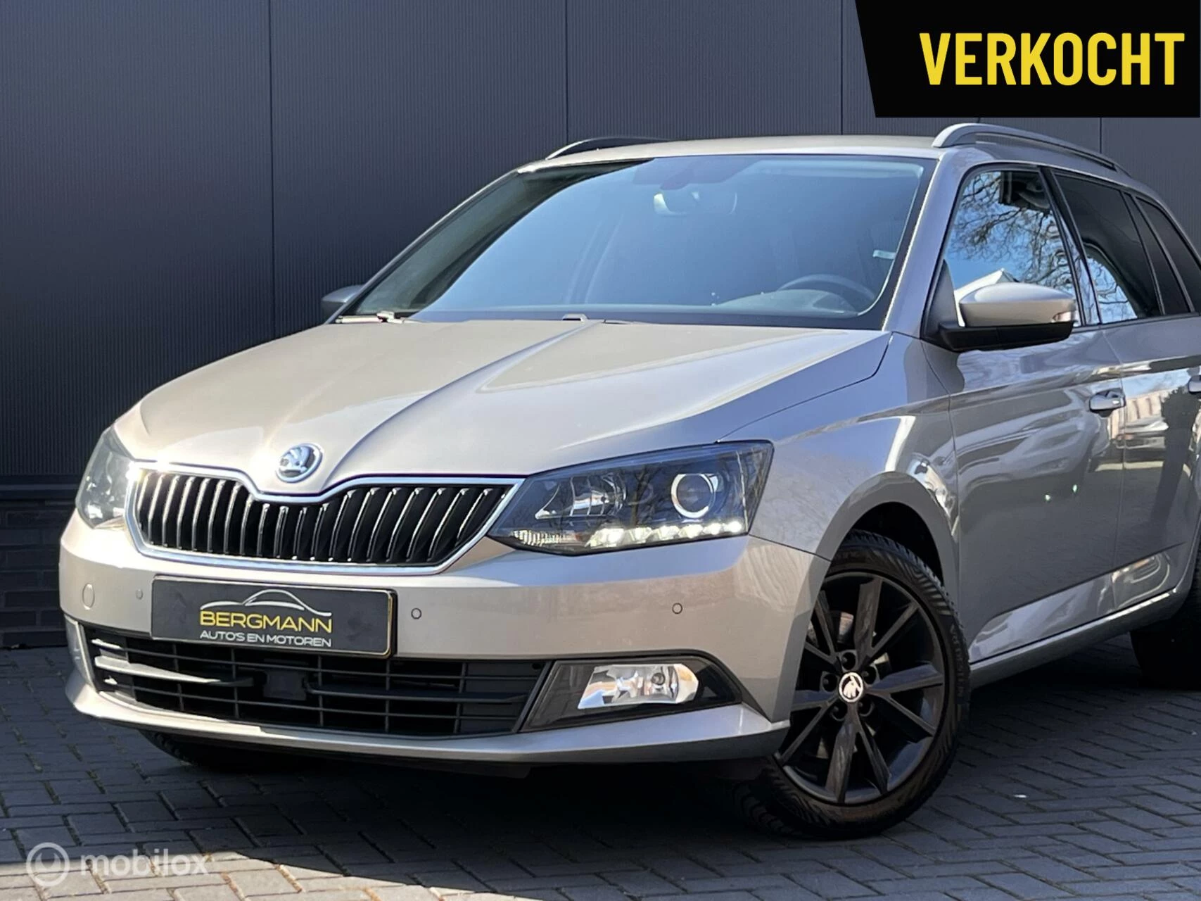 Hoofdafbeelding Škoda Fabia