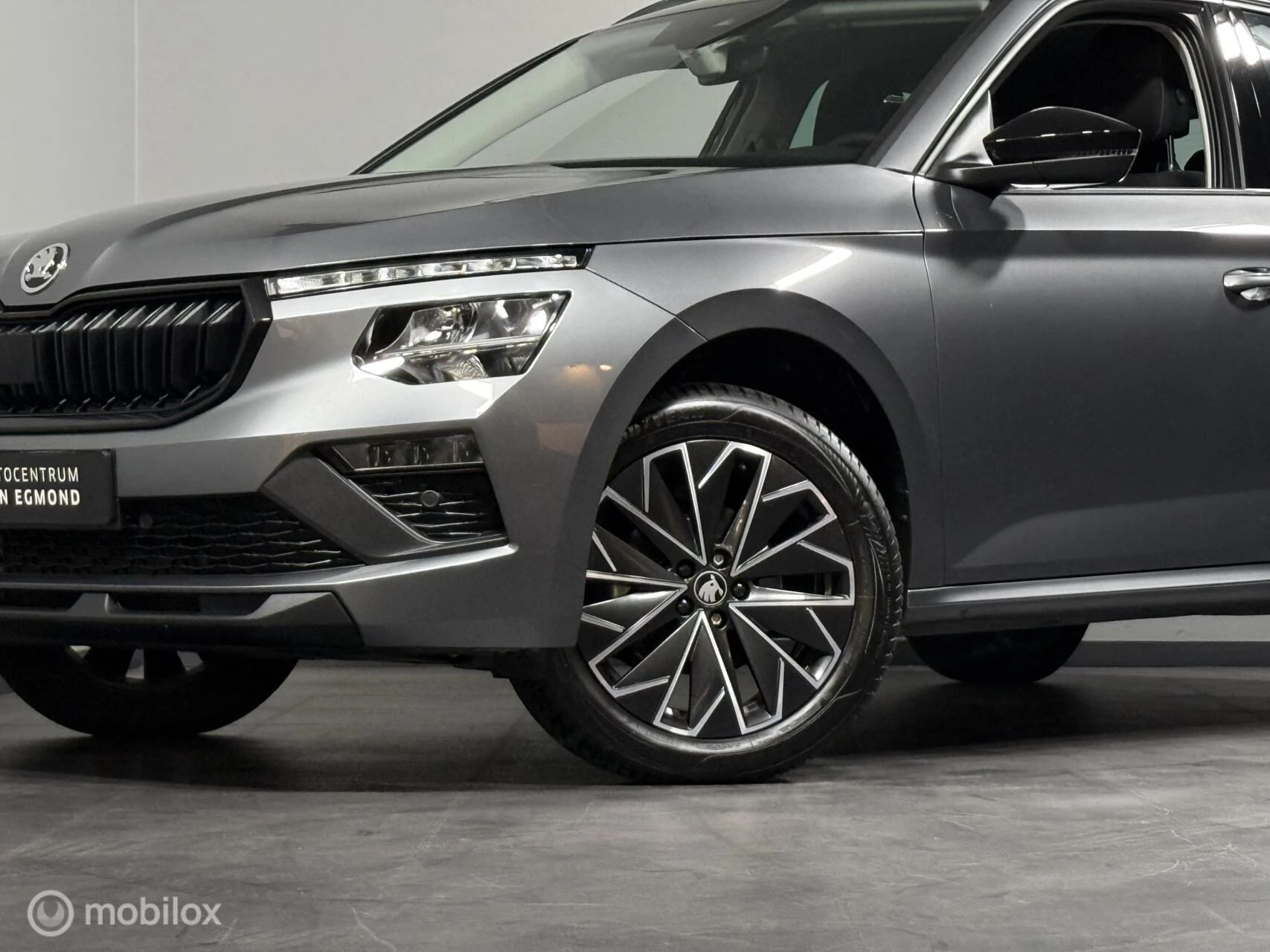 Hoofdafbeelding Škoda Kamiq