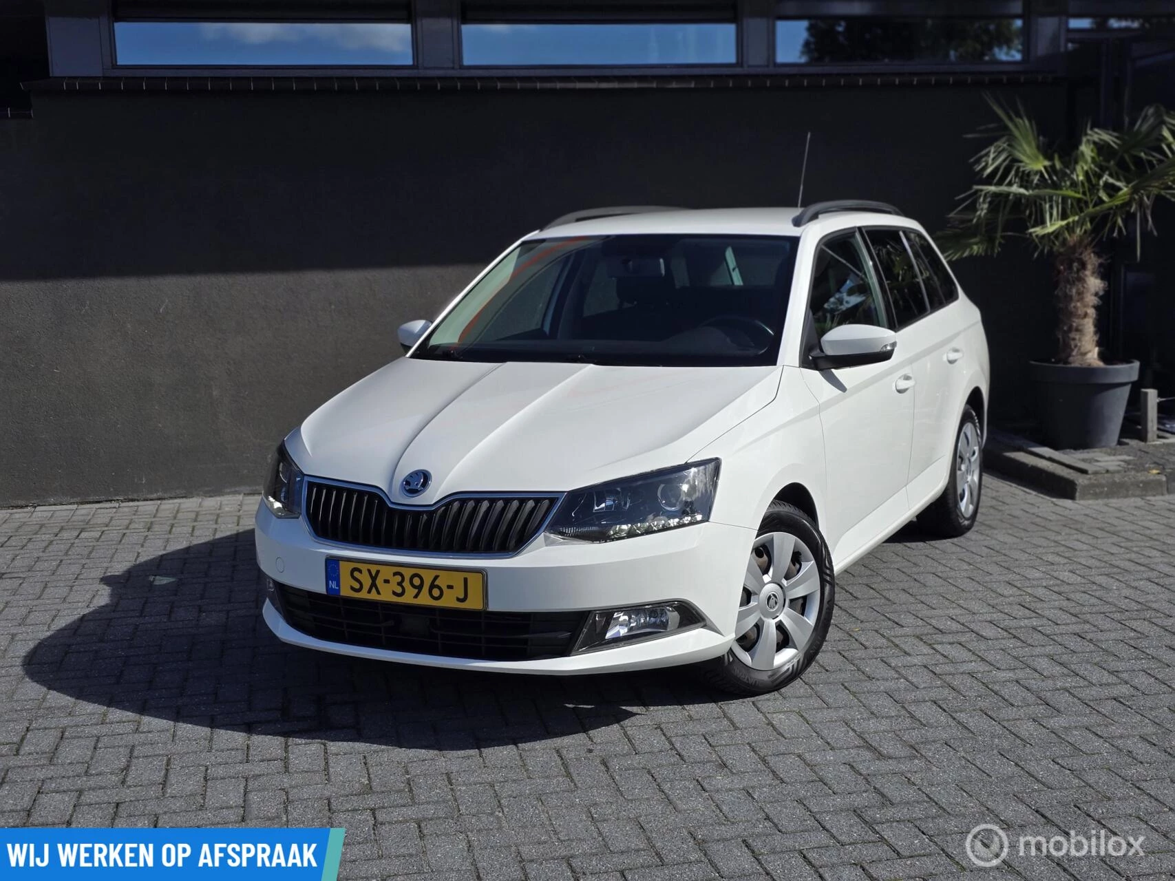 Hoofdafbeelding Škoda Fabia