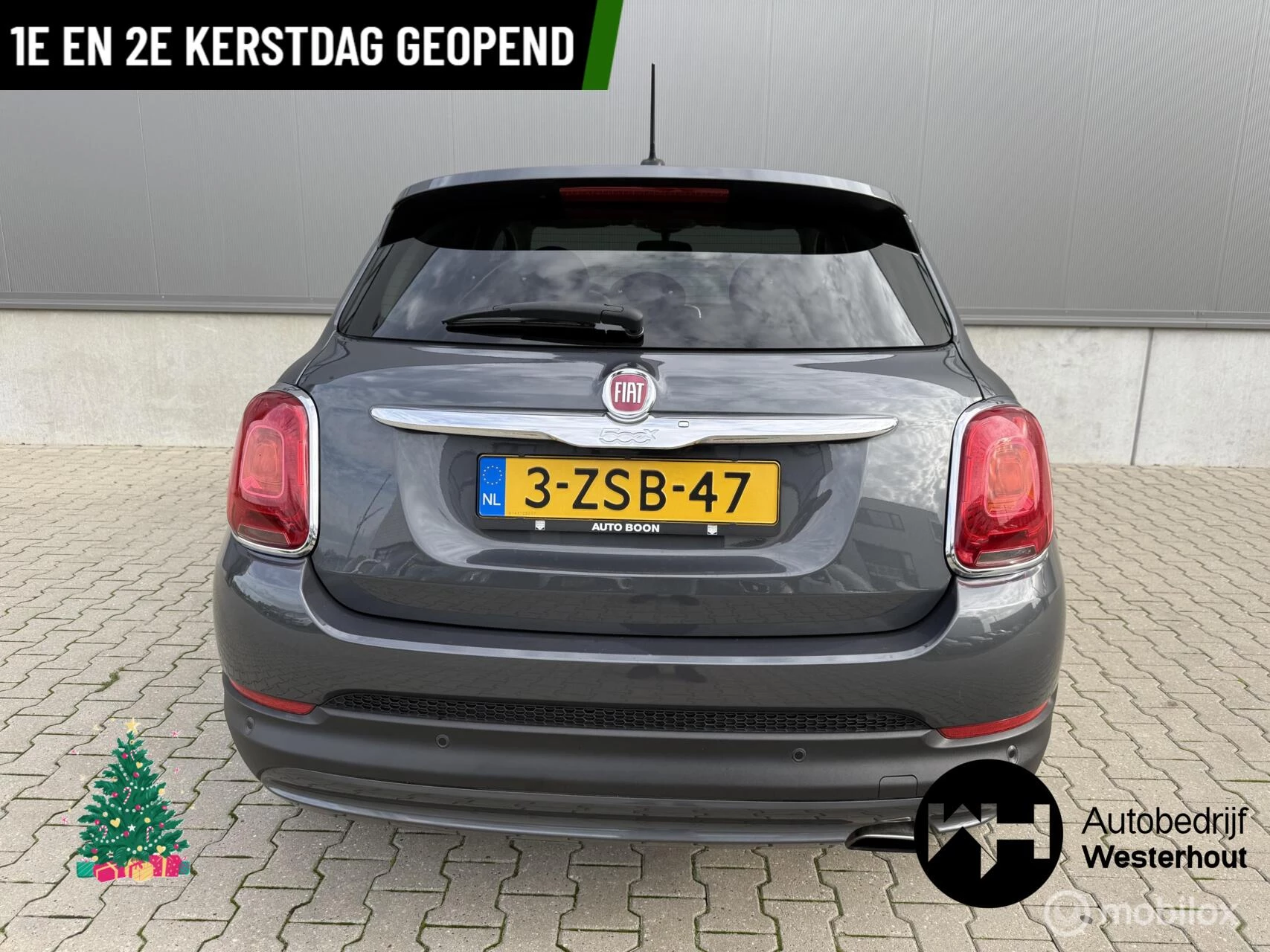 Hoofdafbeelding Fiat 500X