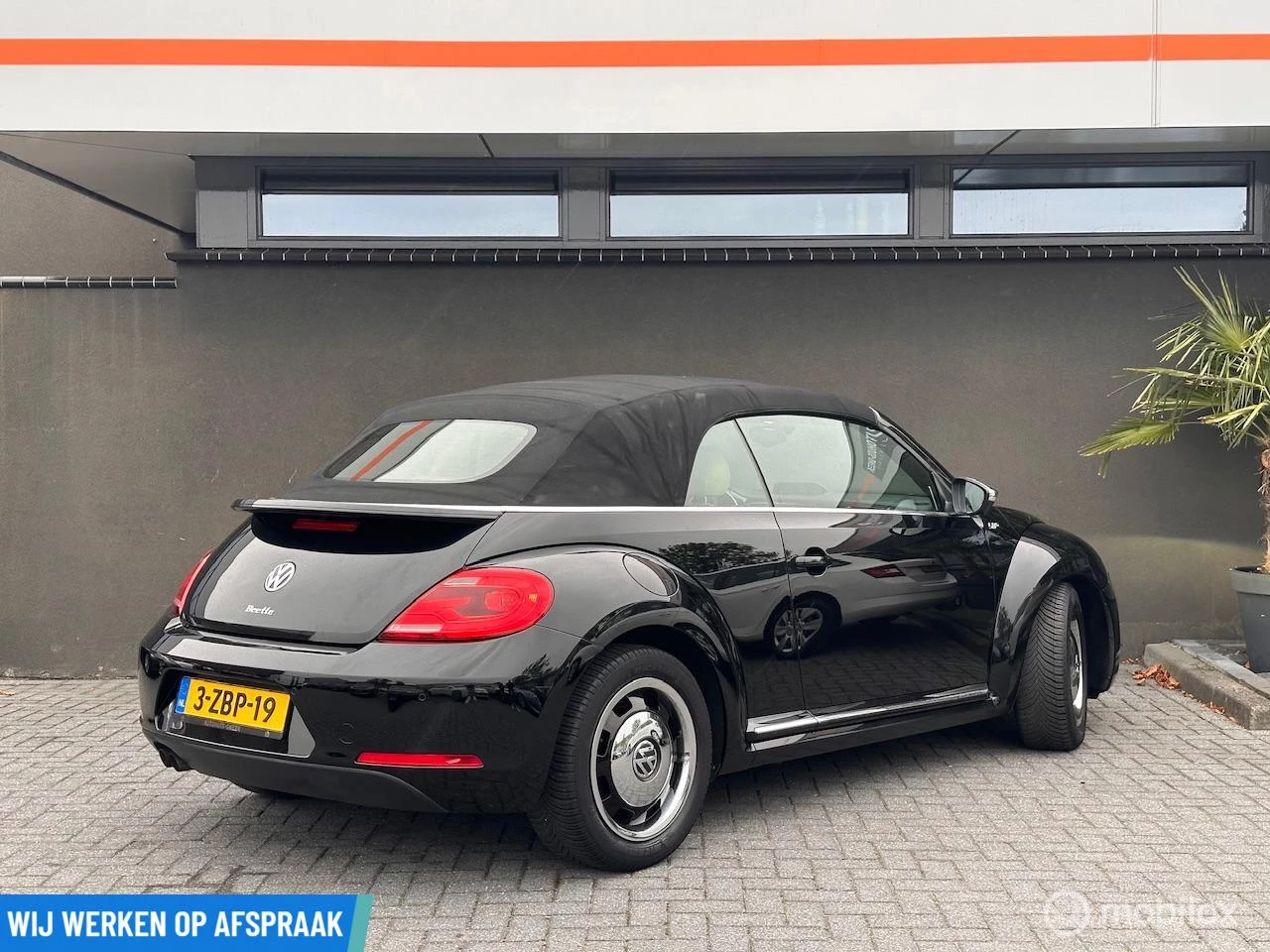 Hoofdafbeelding Volkswagen Beetle