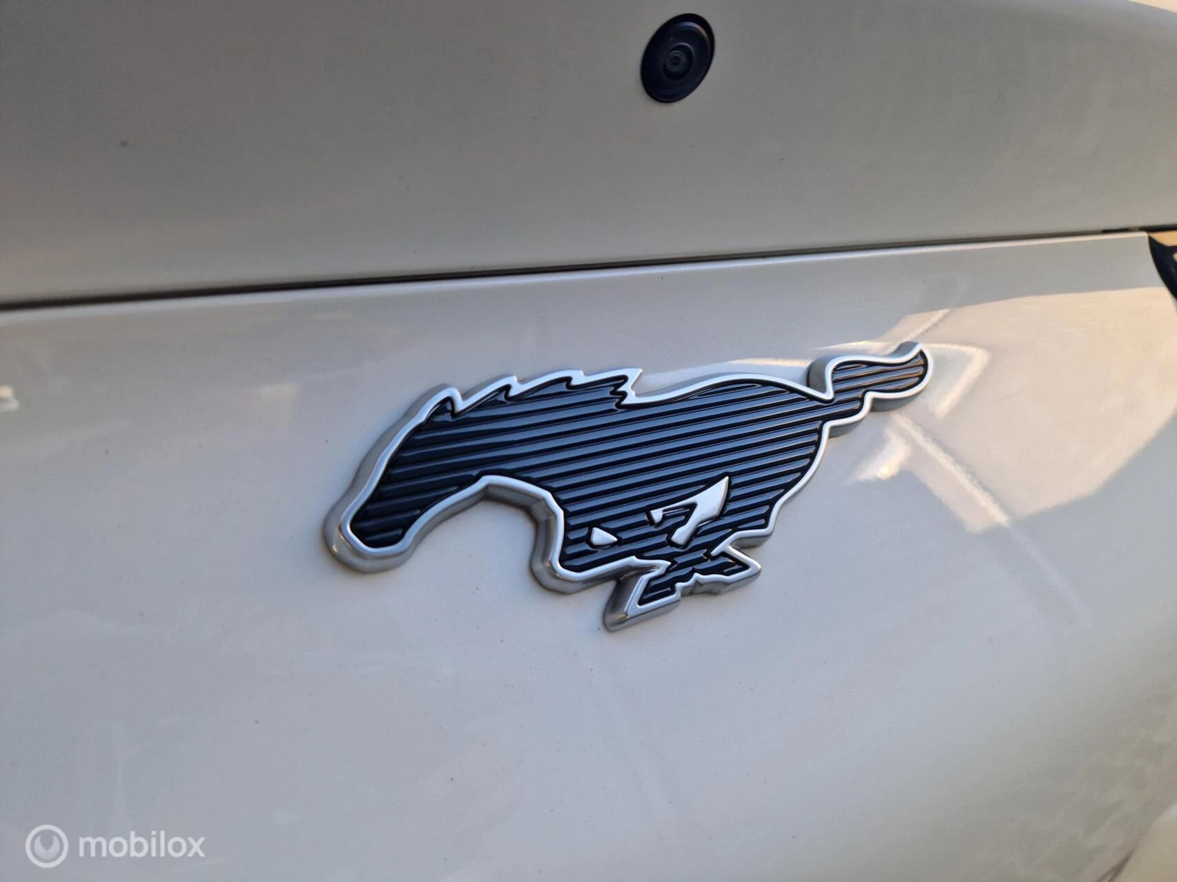 Hoofdafbeelding Ford Mustang Mach-E