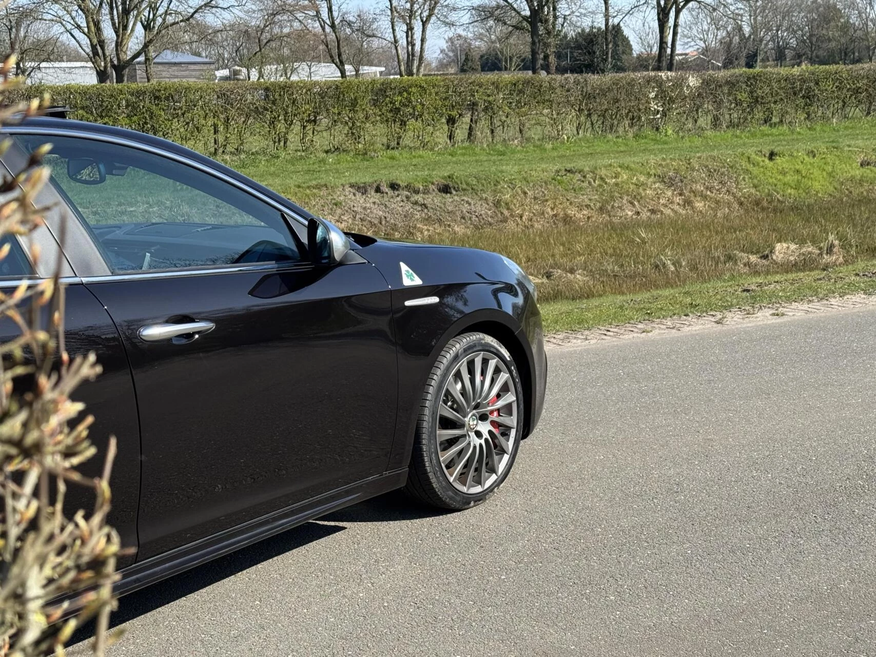 Hoofdafbeelding Alfa Romeo Giulietta