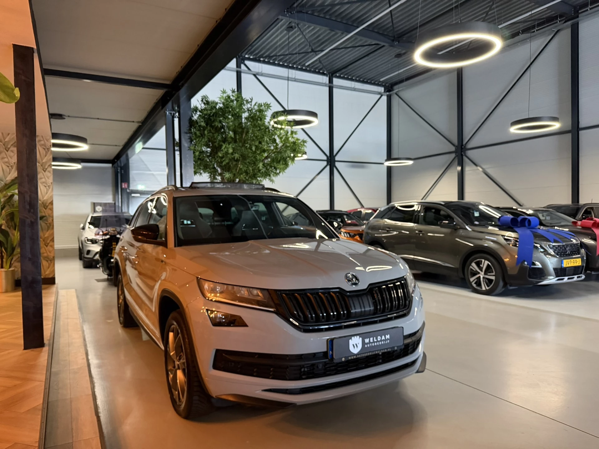 Hoofdafbeelding Škoda Kodiaq