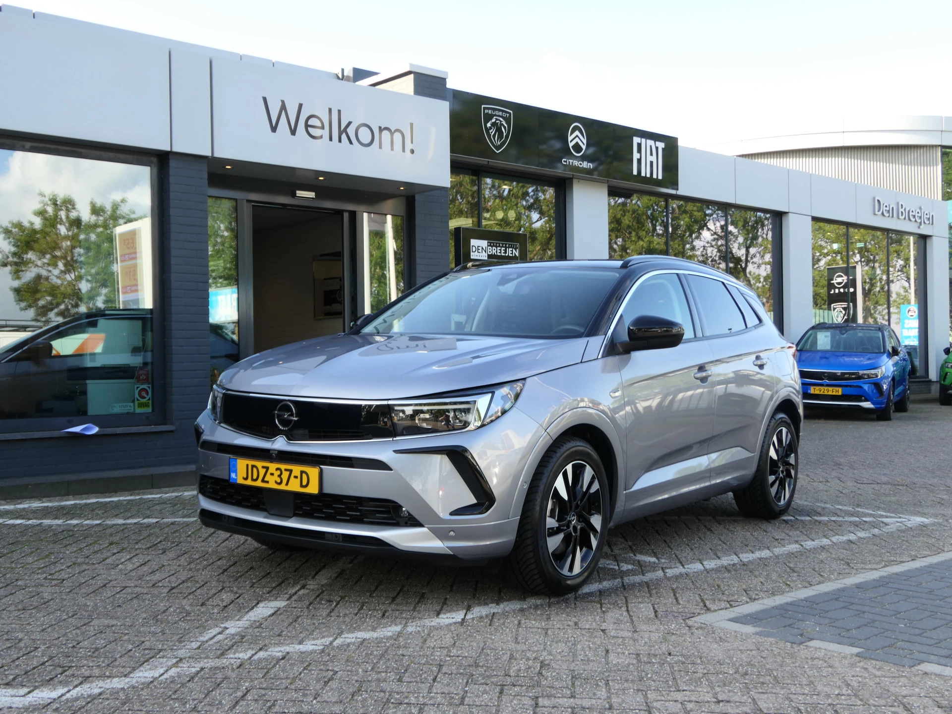 Hoofdafbeelding Opel Grandland