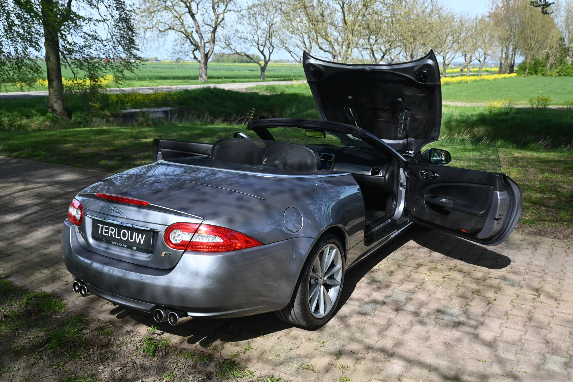Hoofdafbeelding Jaguar XK