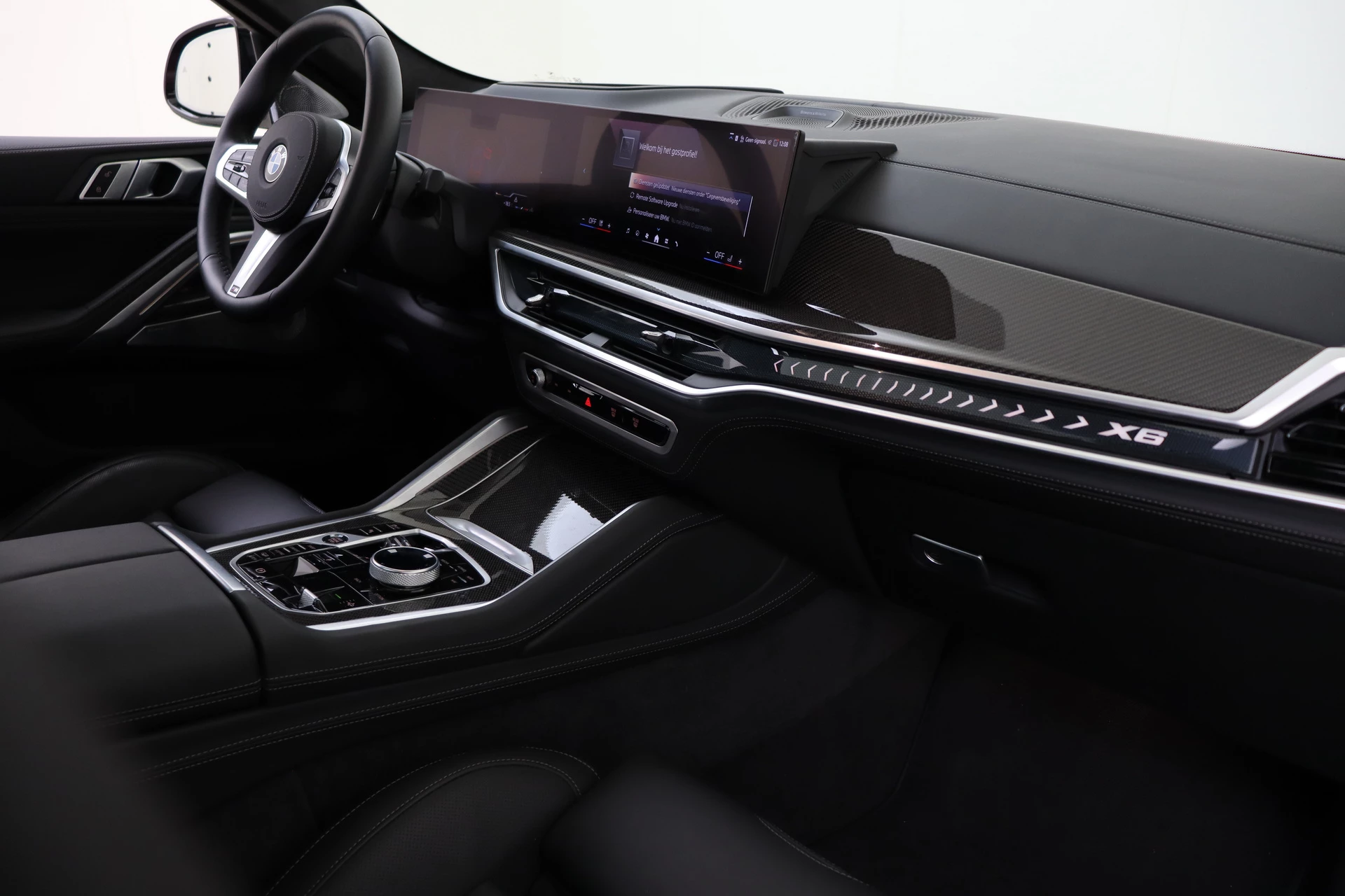 Hoofdafbeelding BMW X6