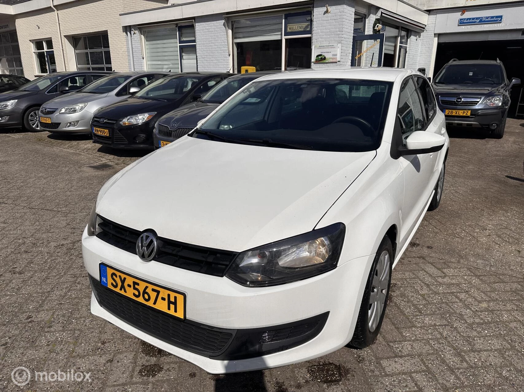 Hoofdafbeelding Volkswagen Polo