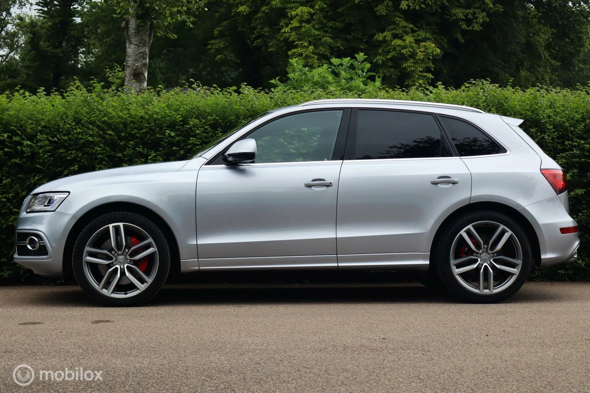 Hoofdafbeelding Audi SQ5