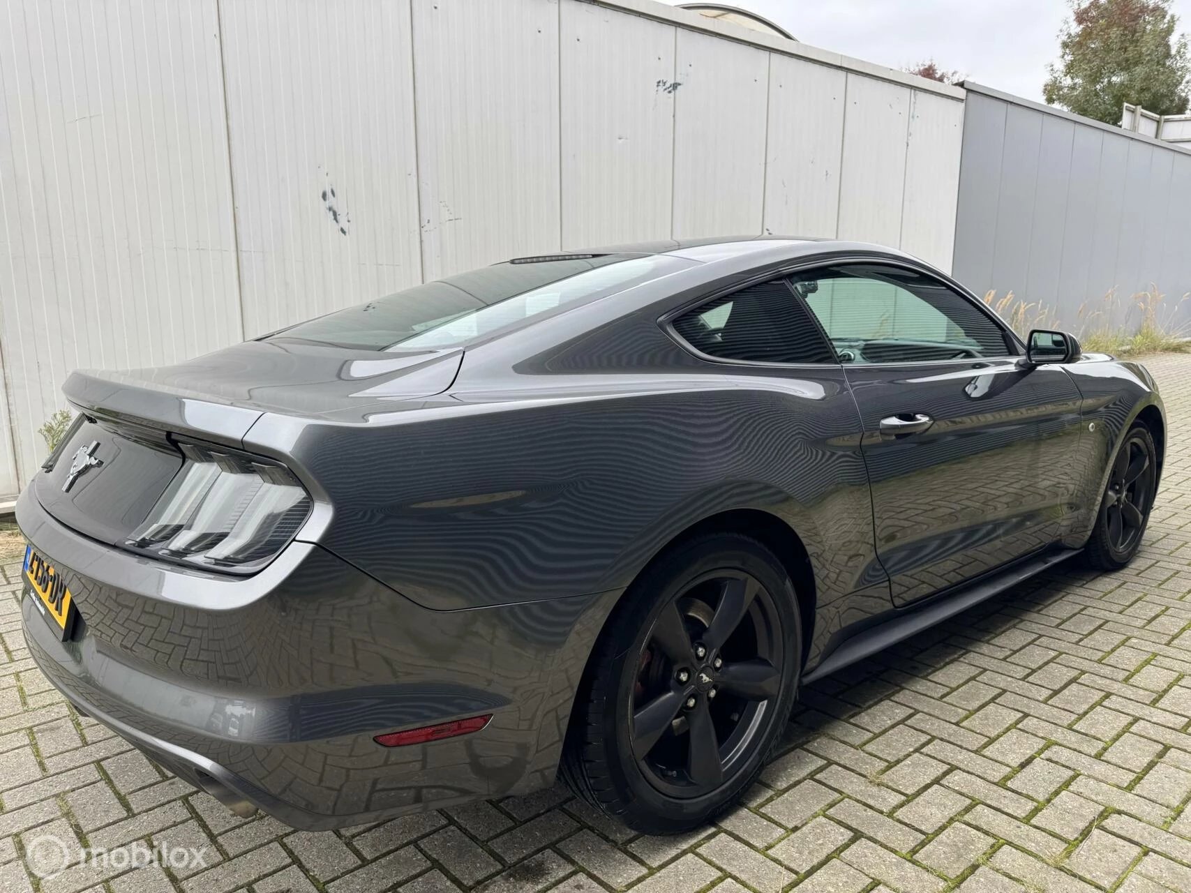 Hoofdafbeelding Ford Mustang