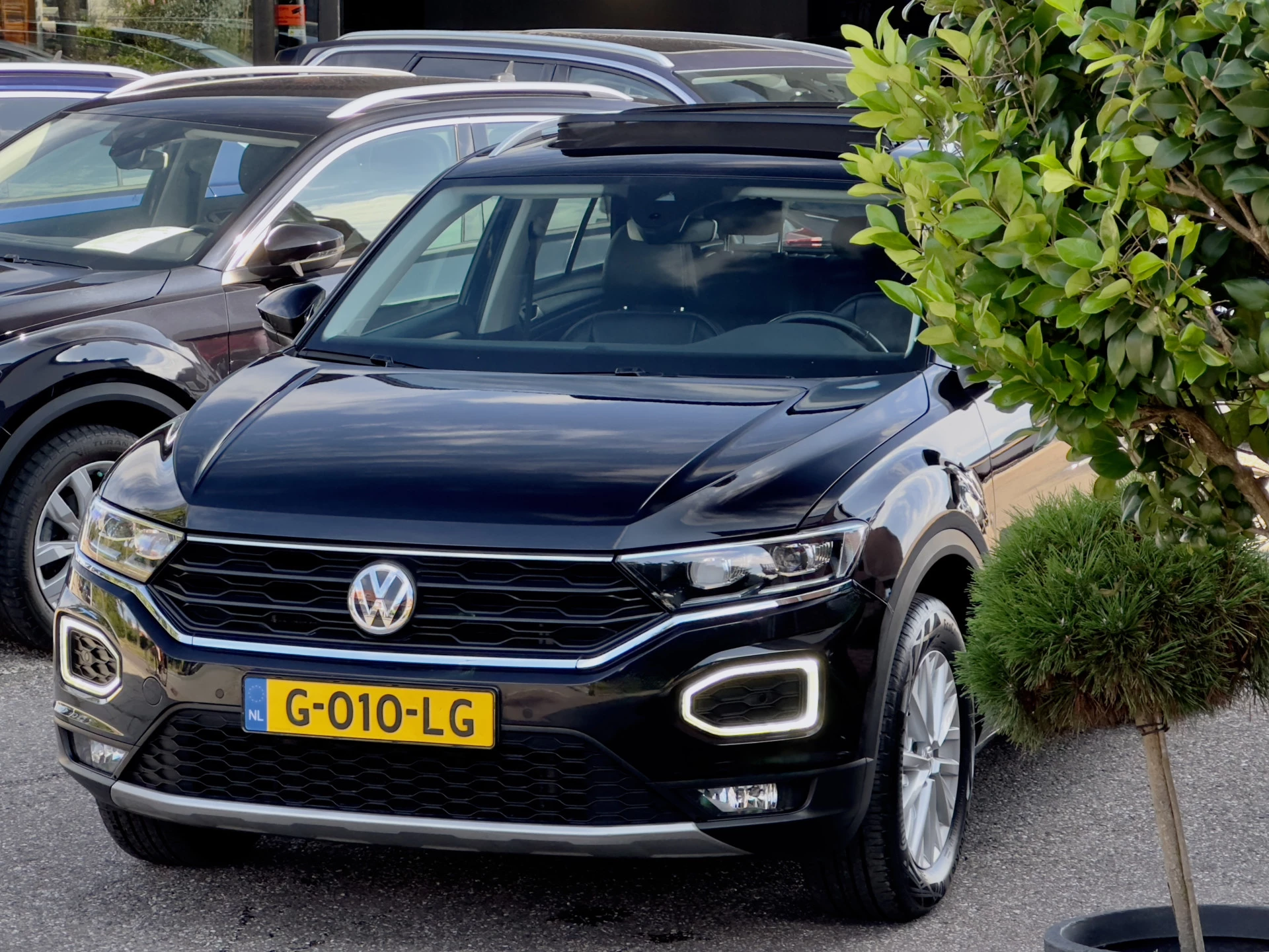 Hoofdafbeelding Volkswagen T-Roc