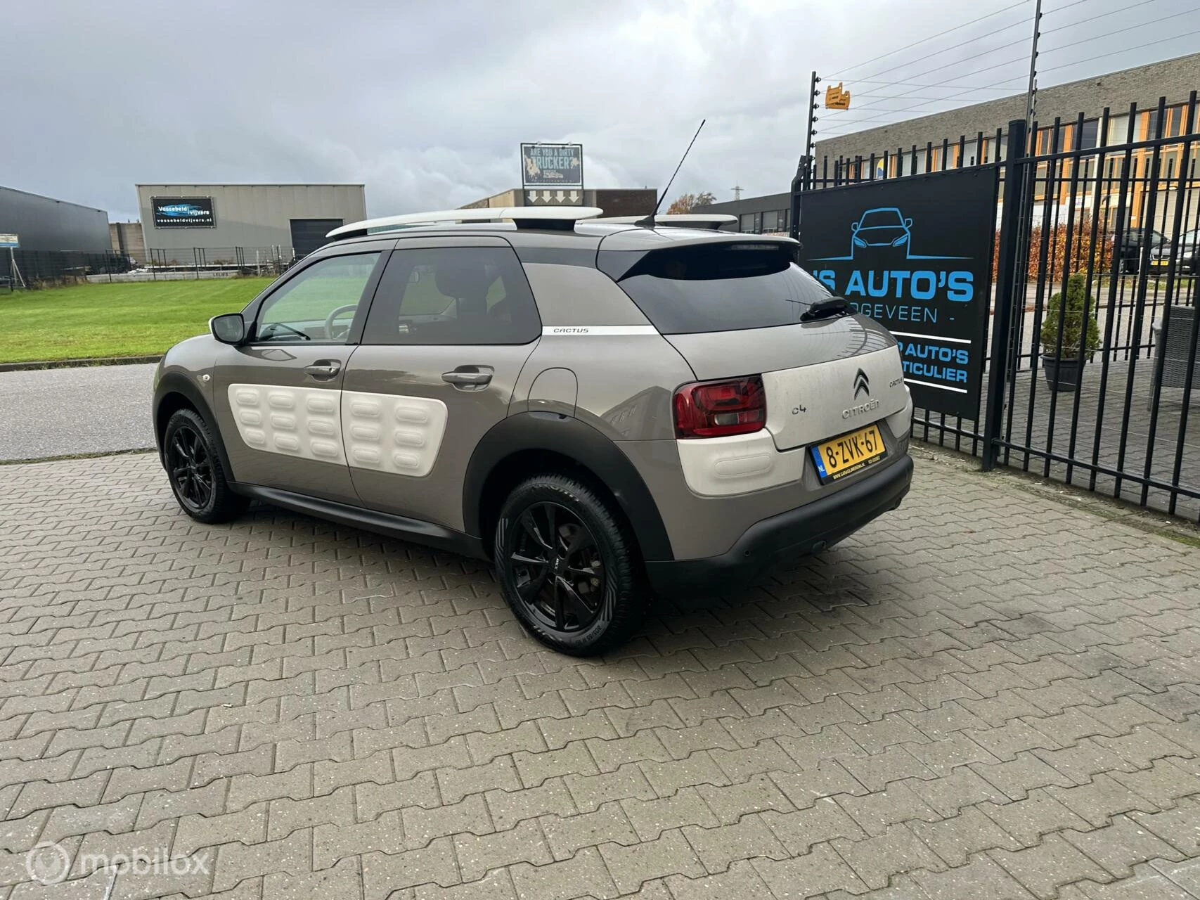 Hoofdafbeelding Citroën C4 Cactus