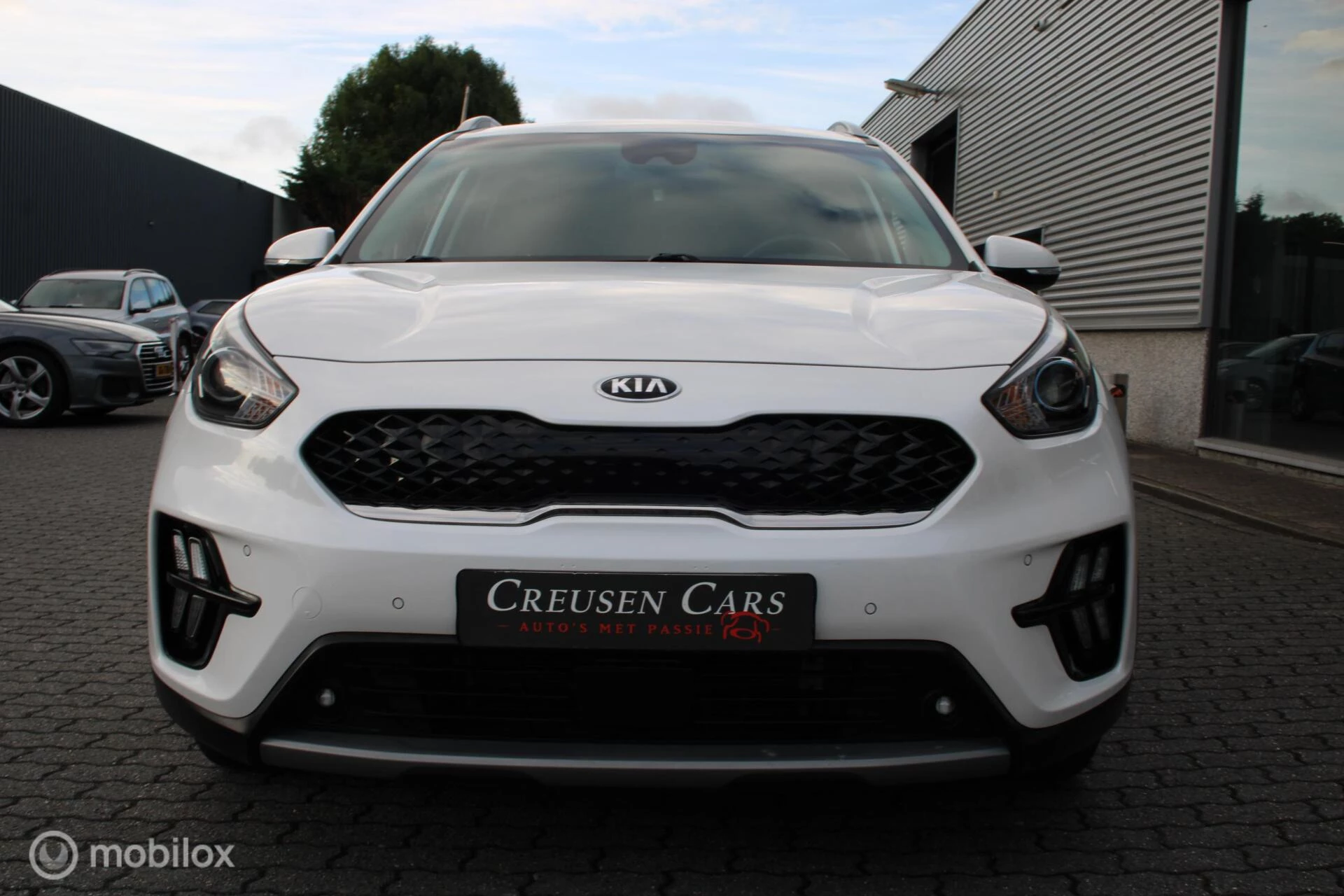 Hoofdafbeelding Kia Niro