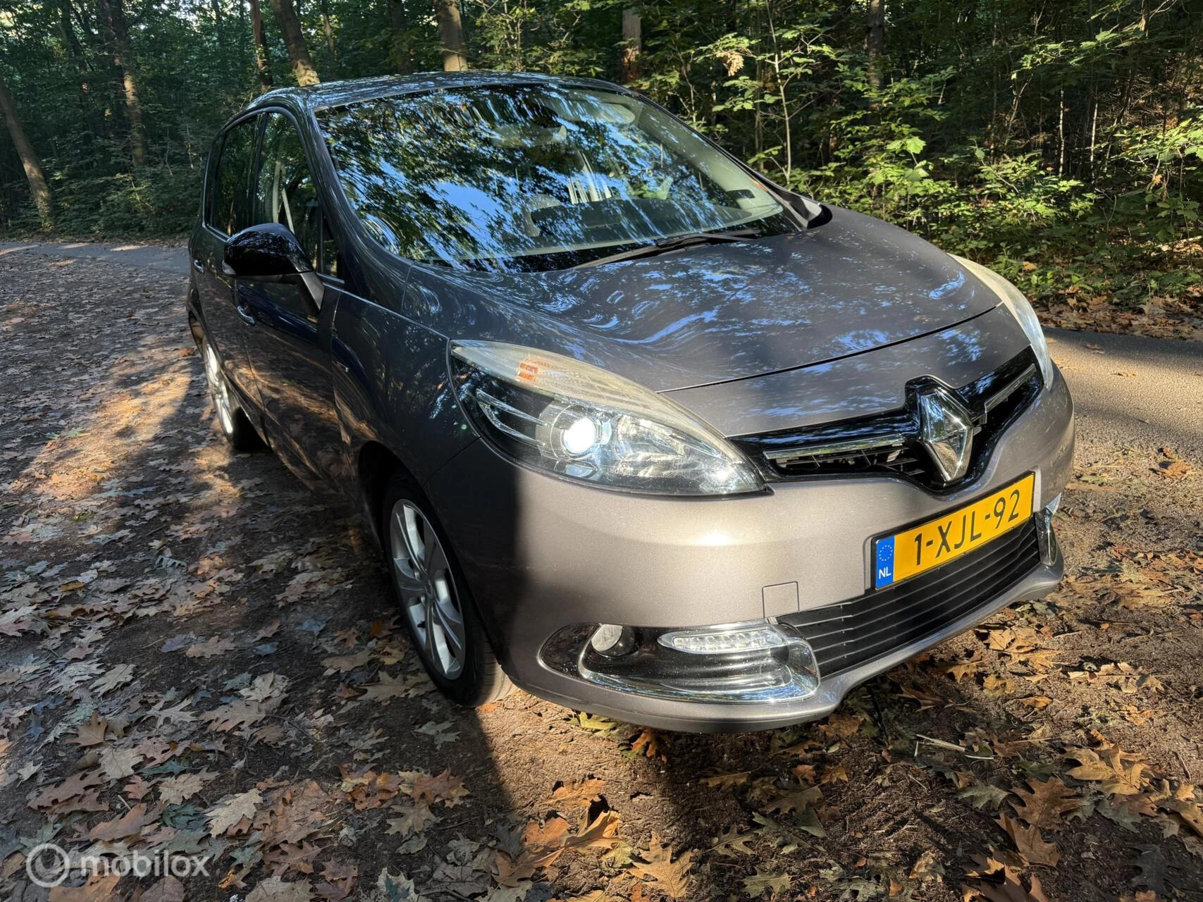 Hoofdafbeelding Renault Scénic