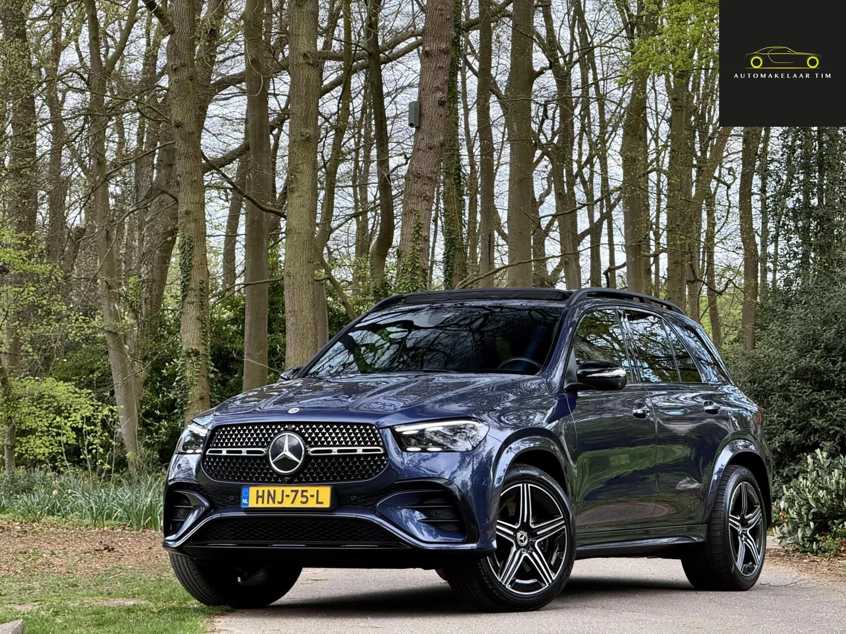 Hoofdafbeelding Mercedes-Benz GLE