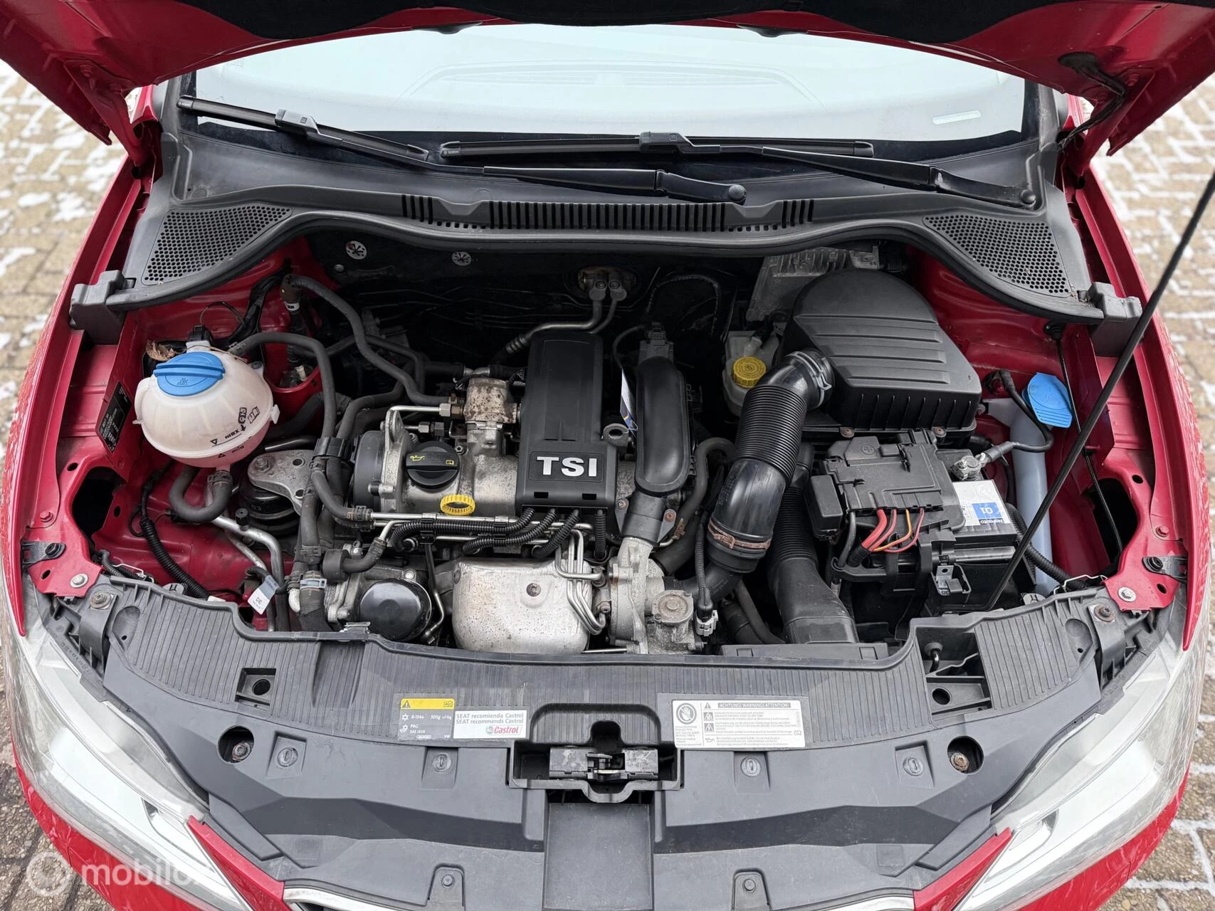 Hoofdafbeelding SEAT Ibiza