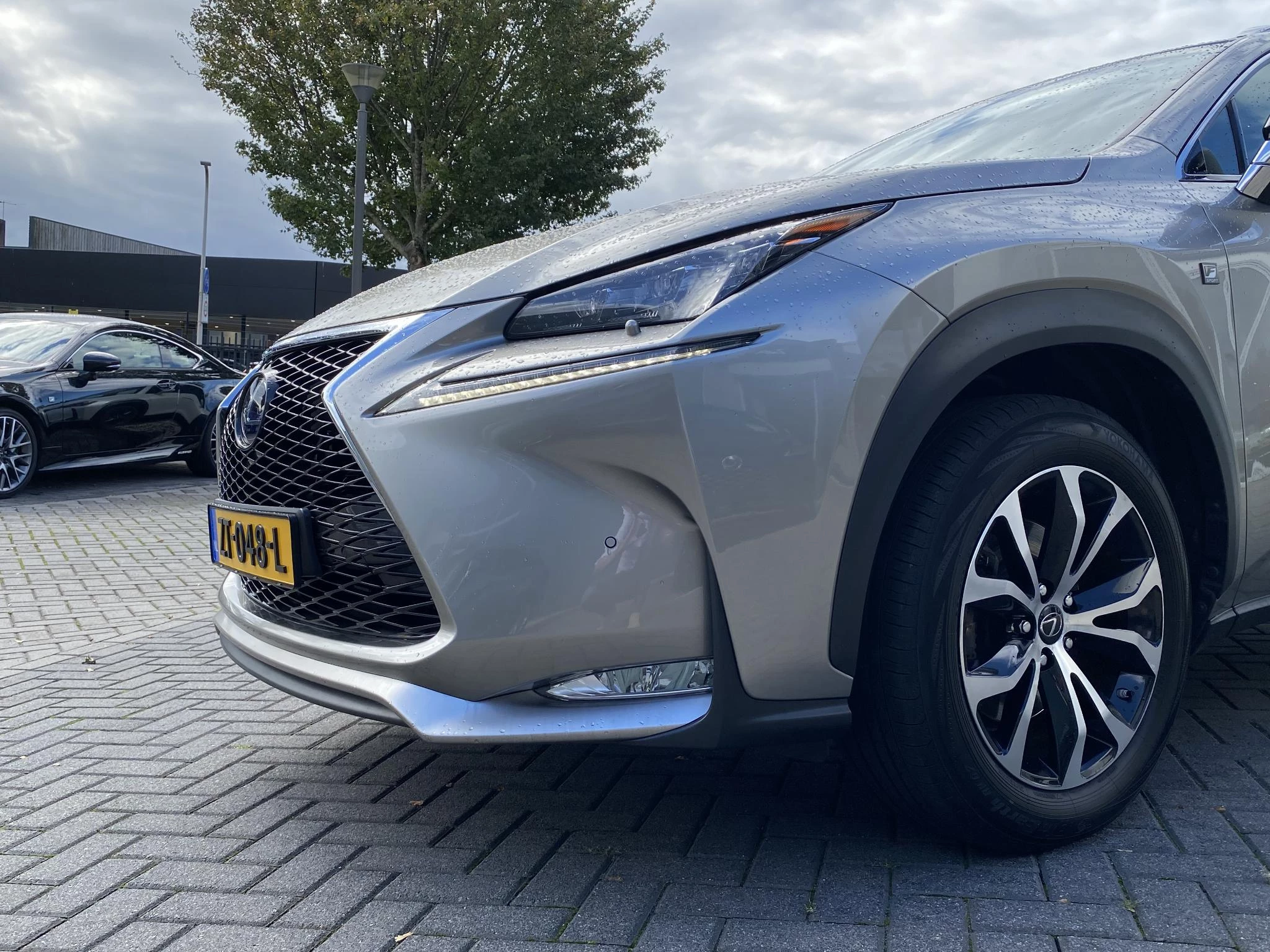 Hoofdafbeelding Lexus NX