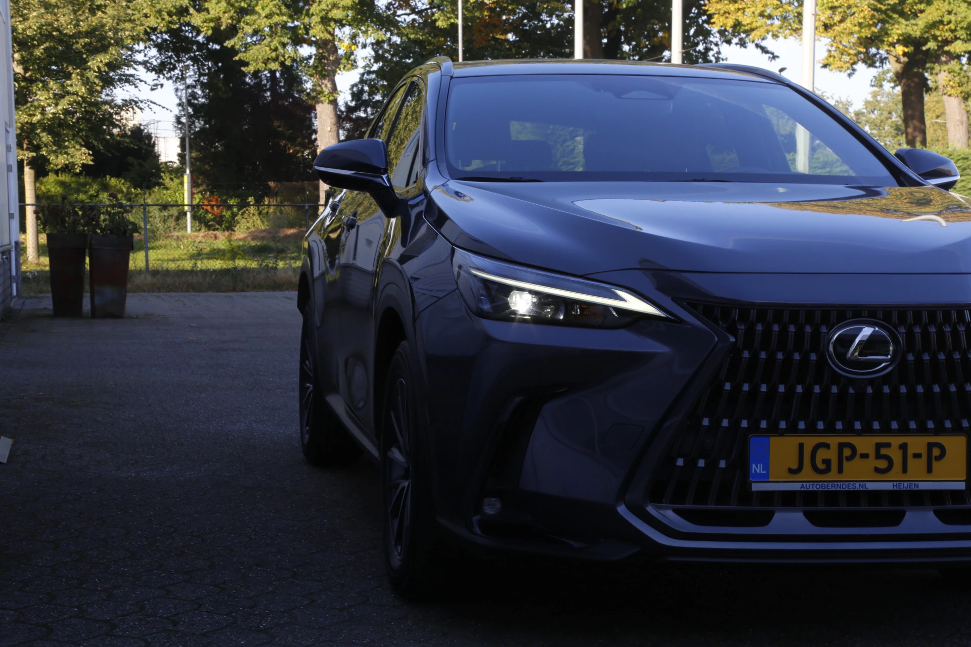 Hoofdafbeelding Lexus NX