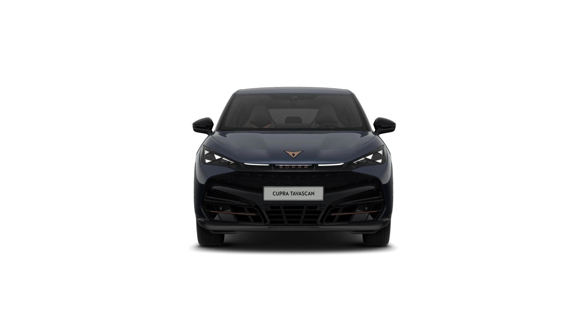 Hoofdafbeelding CUPRA Tavascan