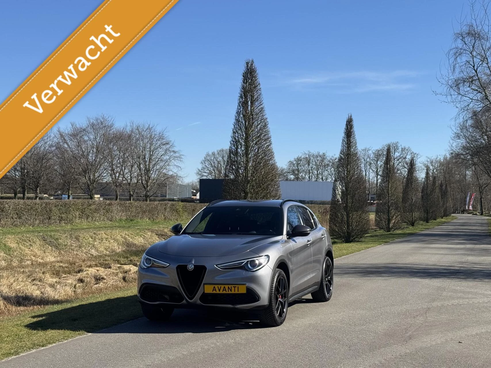 Hoofdafbeelding Alfa Romeo Stelvio