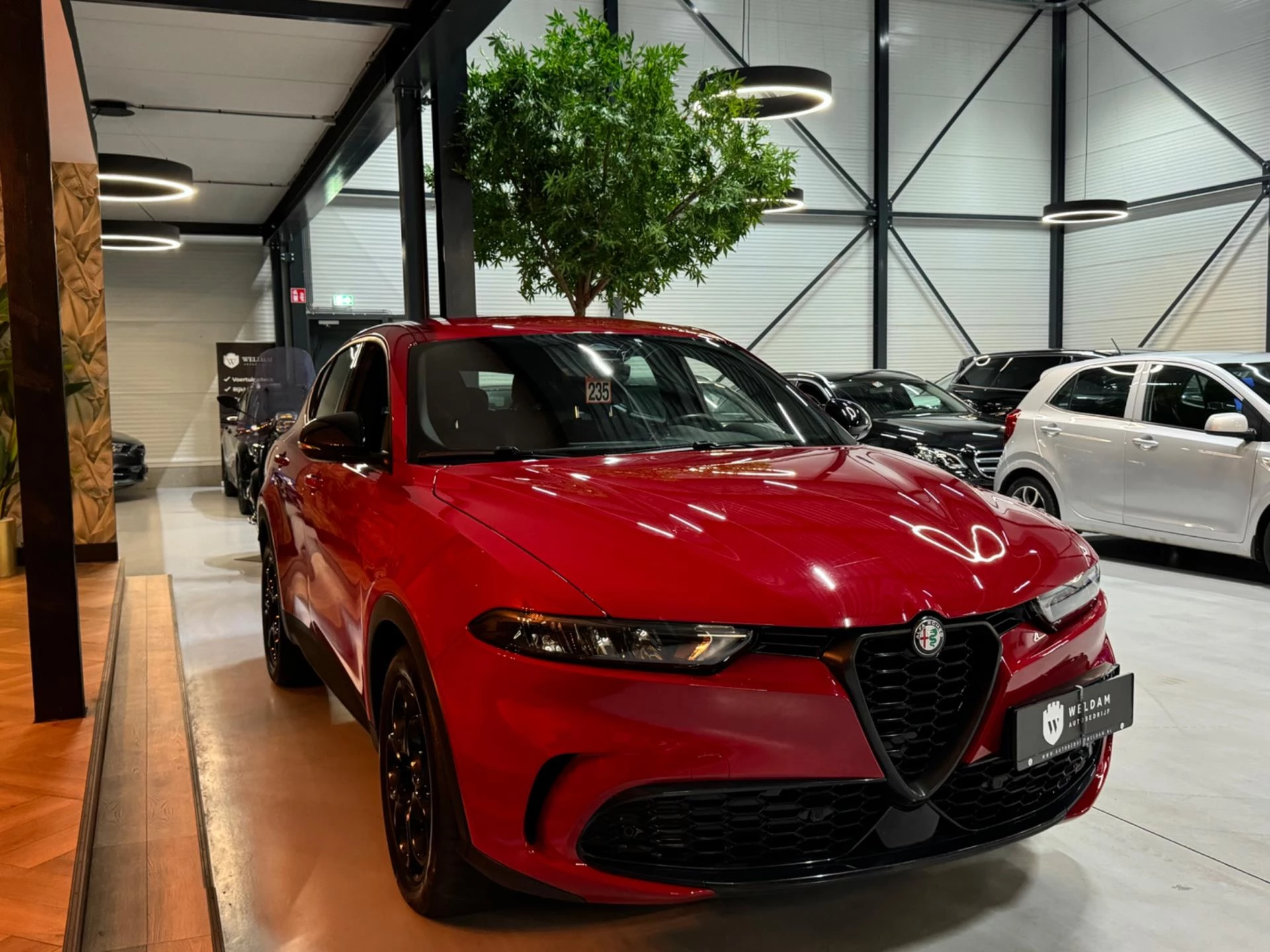 Hoofdafbeelding Alfa Romeo Tonale