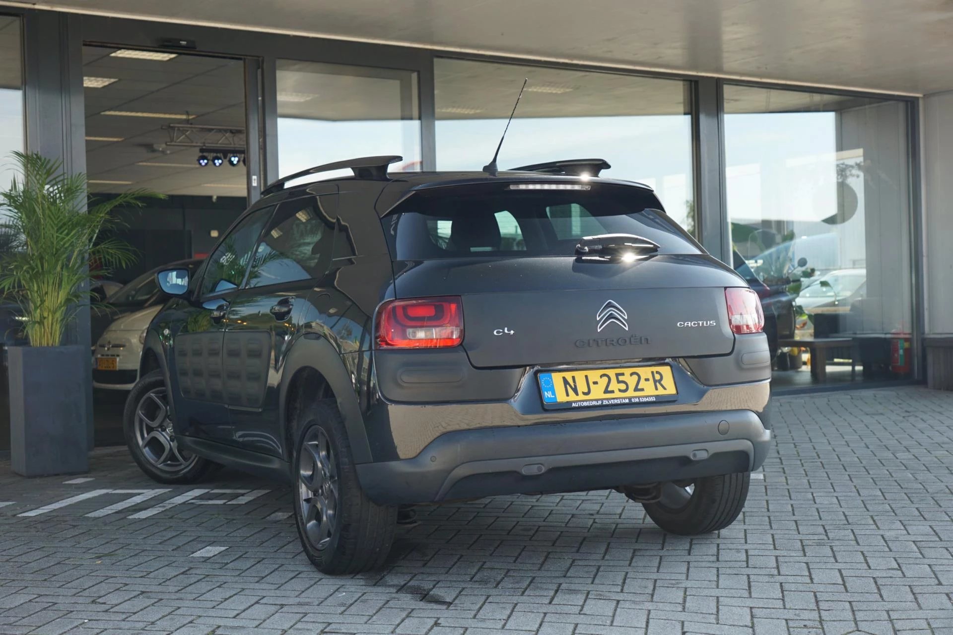 Hoofdafbeelding Citroën C4 Cactus