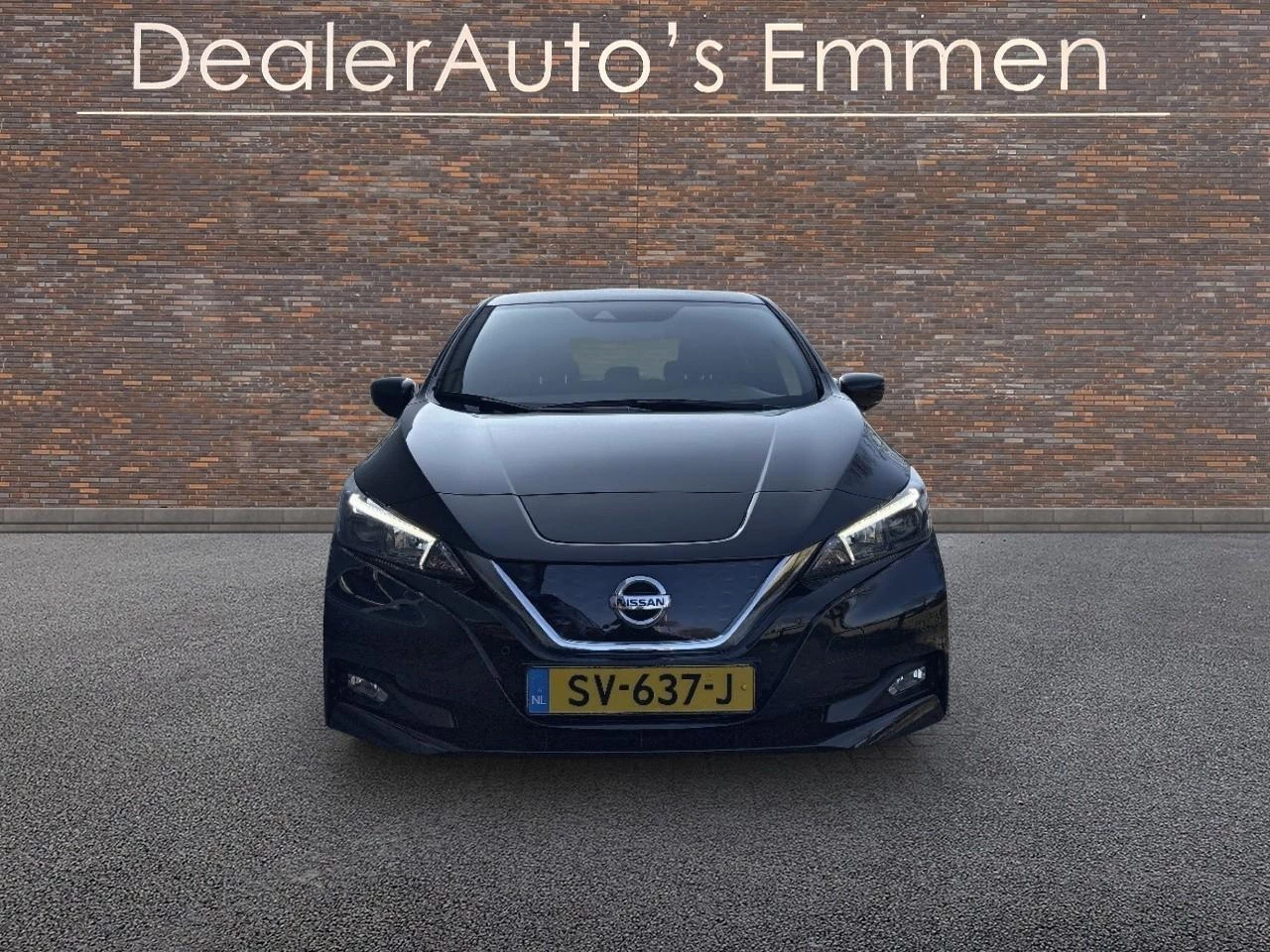 Hoofdafbeelding Nissan Leaf