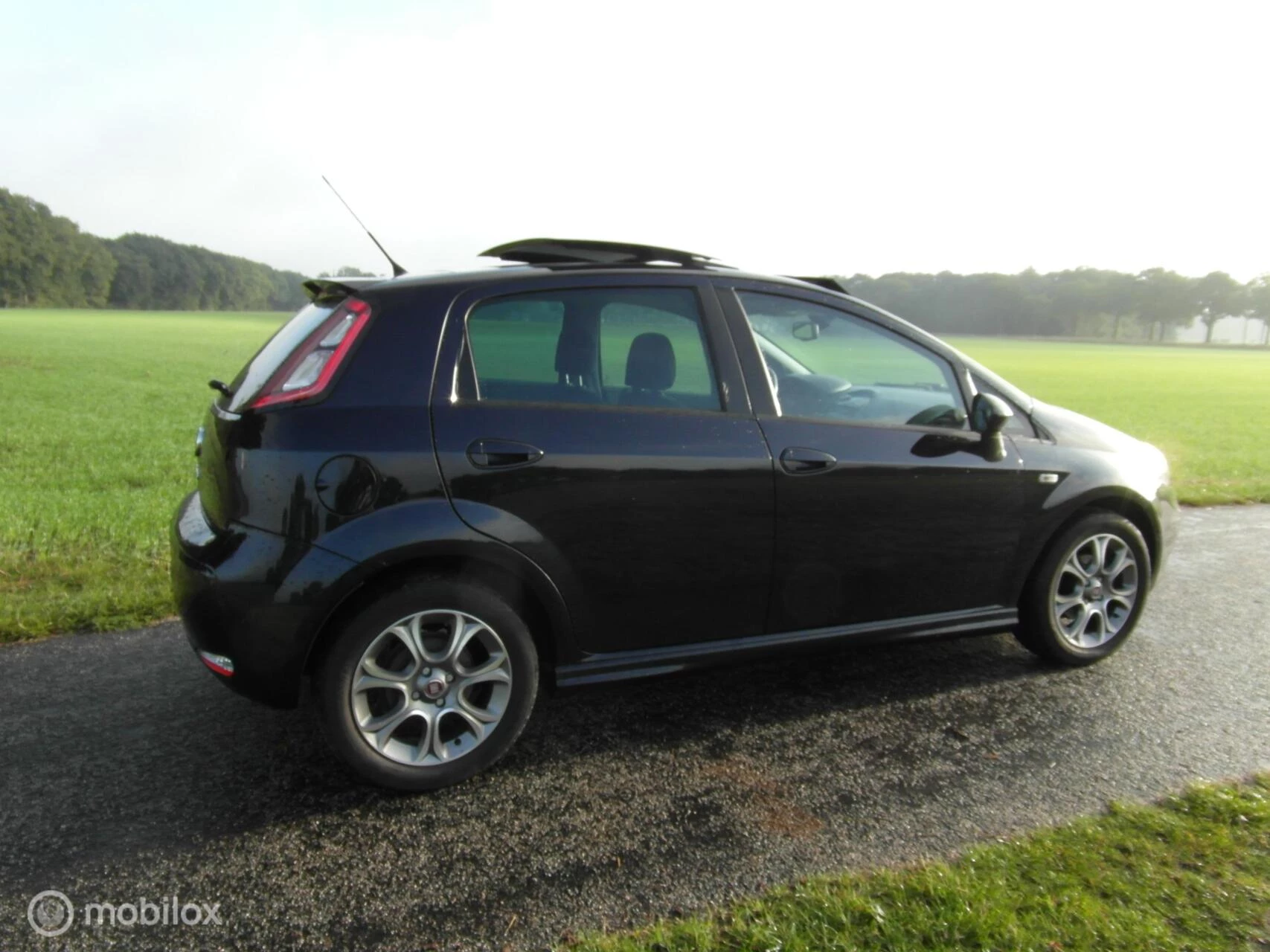Hoofdafbeelding Fiat Punto
