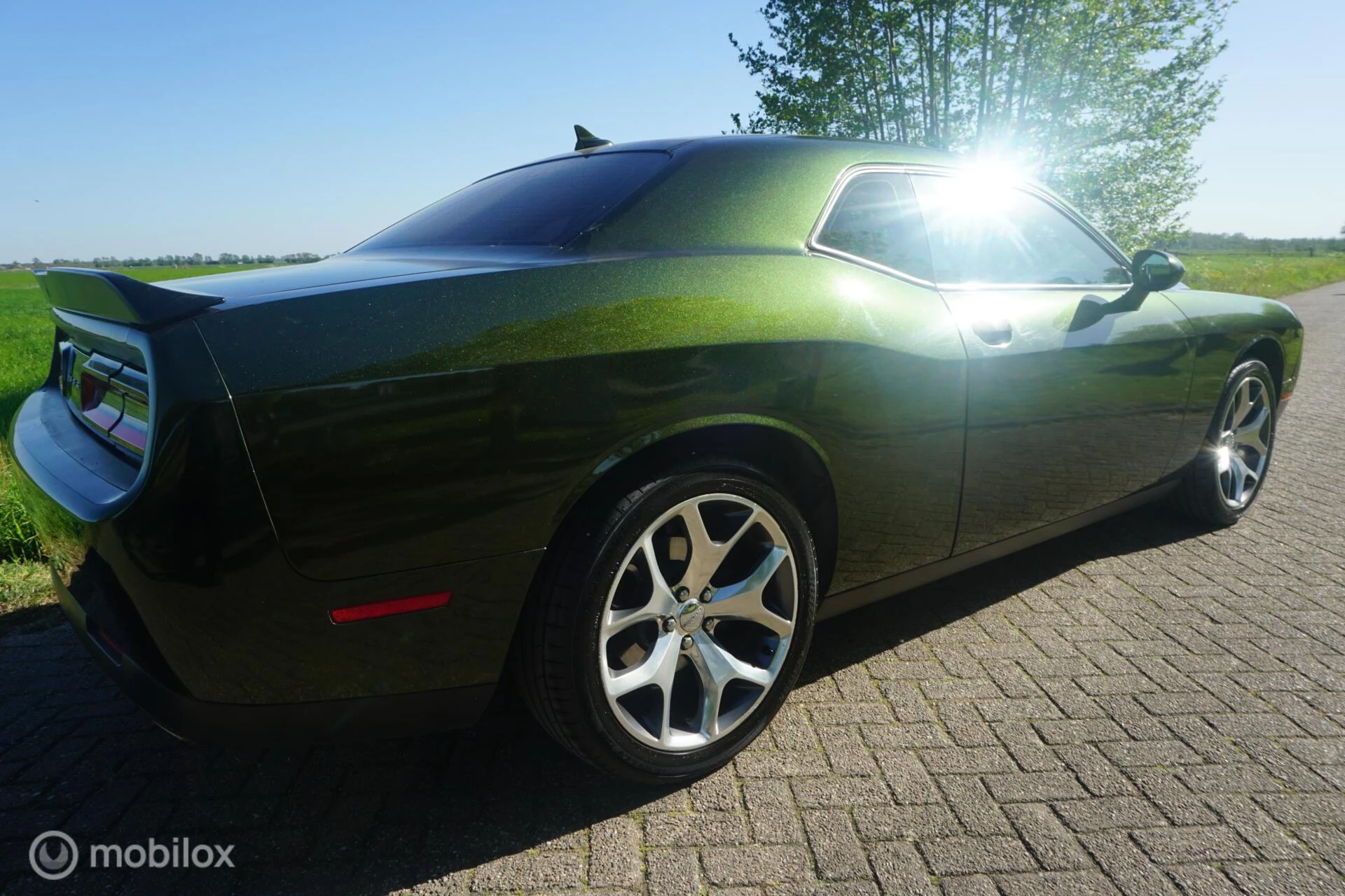 Hoofdafbeelding Dodge Challenger