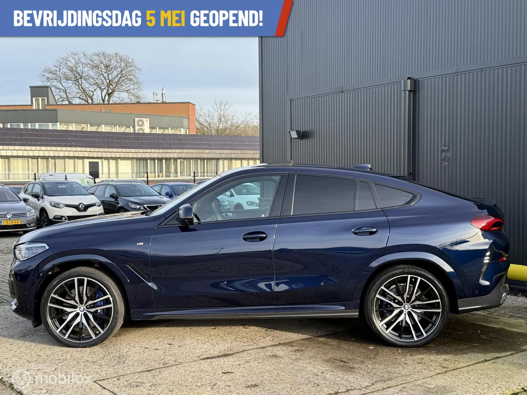 Hoofdafbeelding BMW X6
