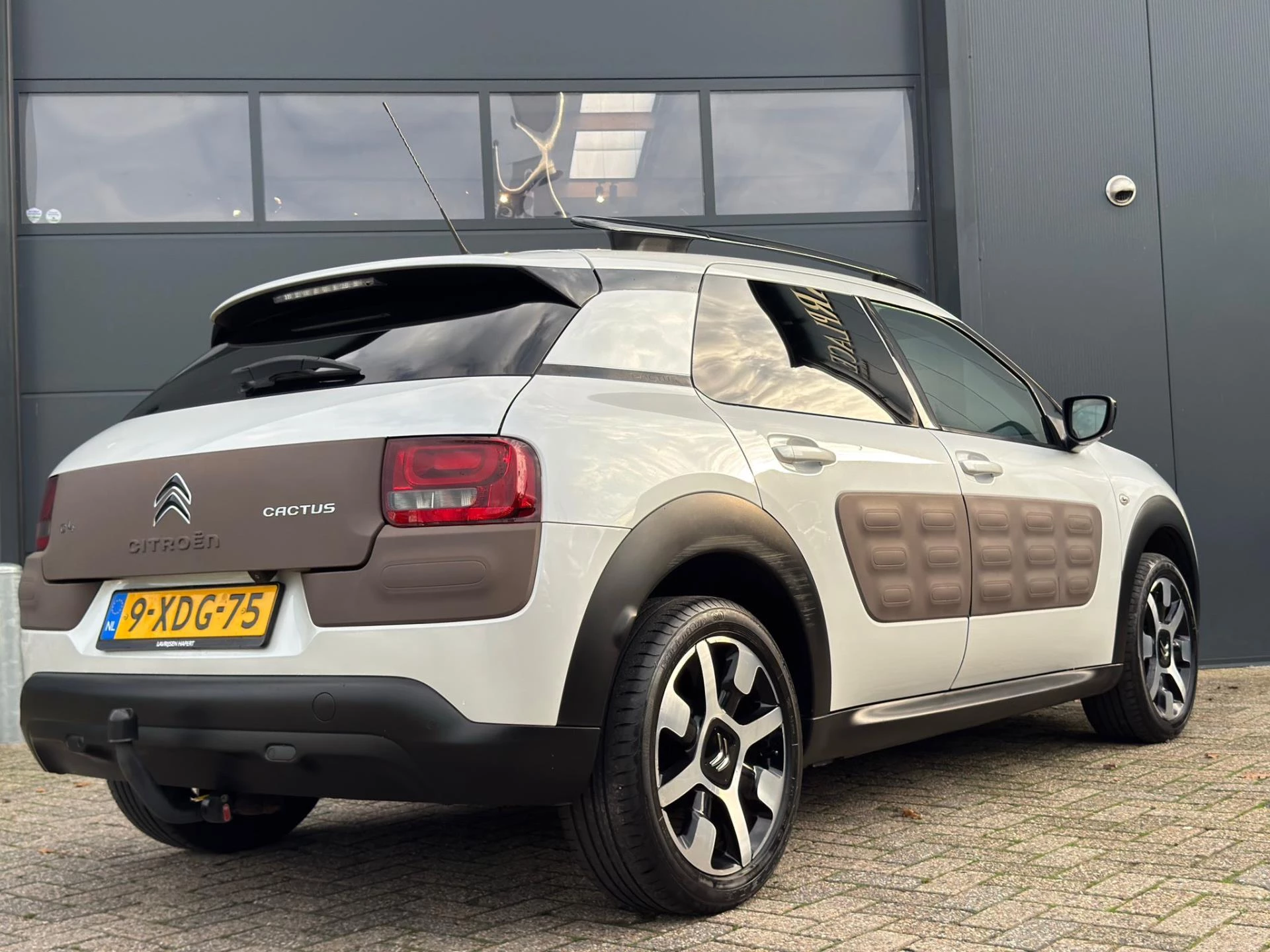 Hoofdafbeelding Citroën C4 Cactus