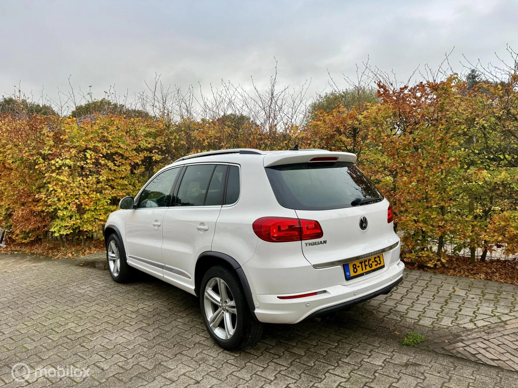 Hoofdafbeelding Volkswagen Tiguan