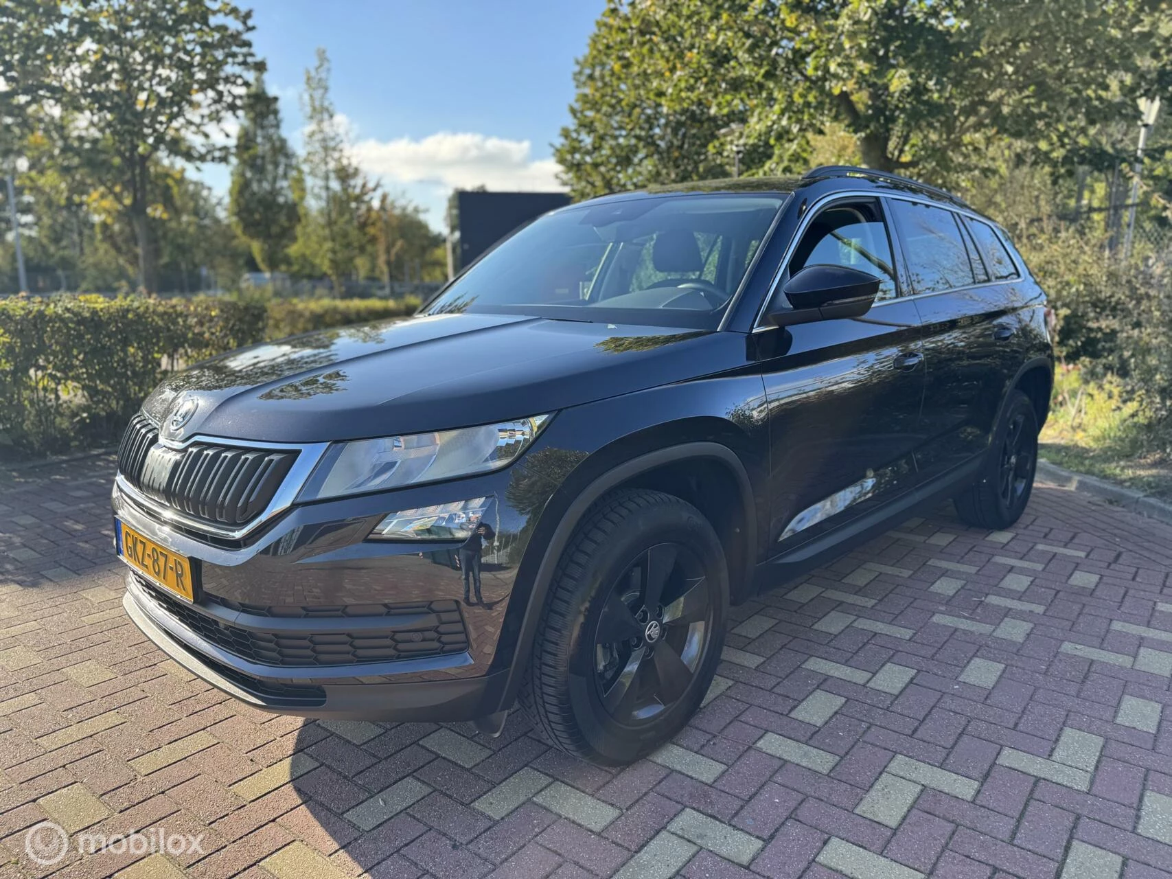 Hoofdafbeelding Škoda Kodiaq