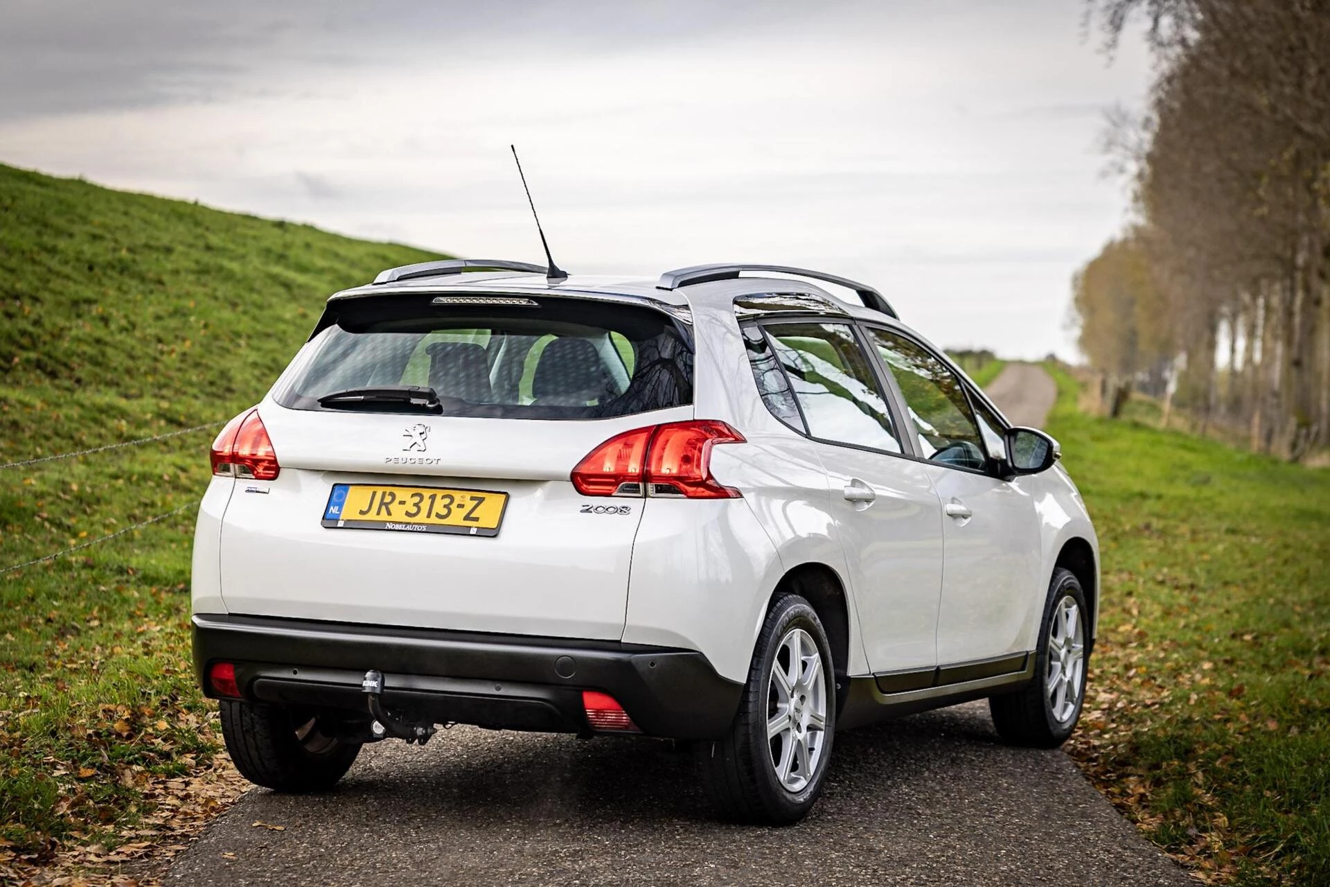 Hoofdafbeelding Peugeot 2008