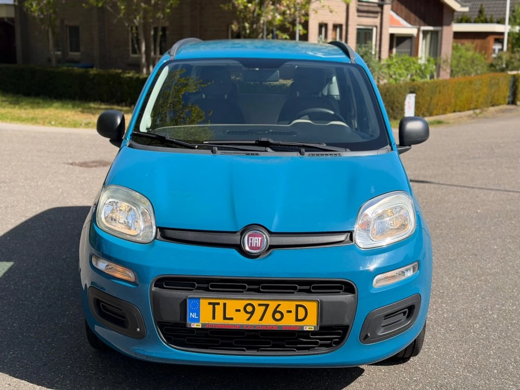 Hoofdafbeelding Fiat Panda