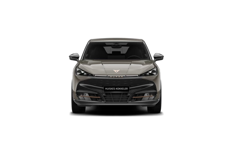 Hoofdafbeelding CUPRA Tavascan