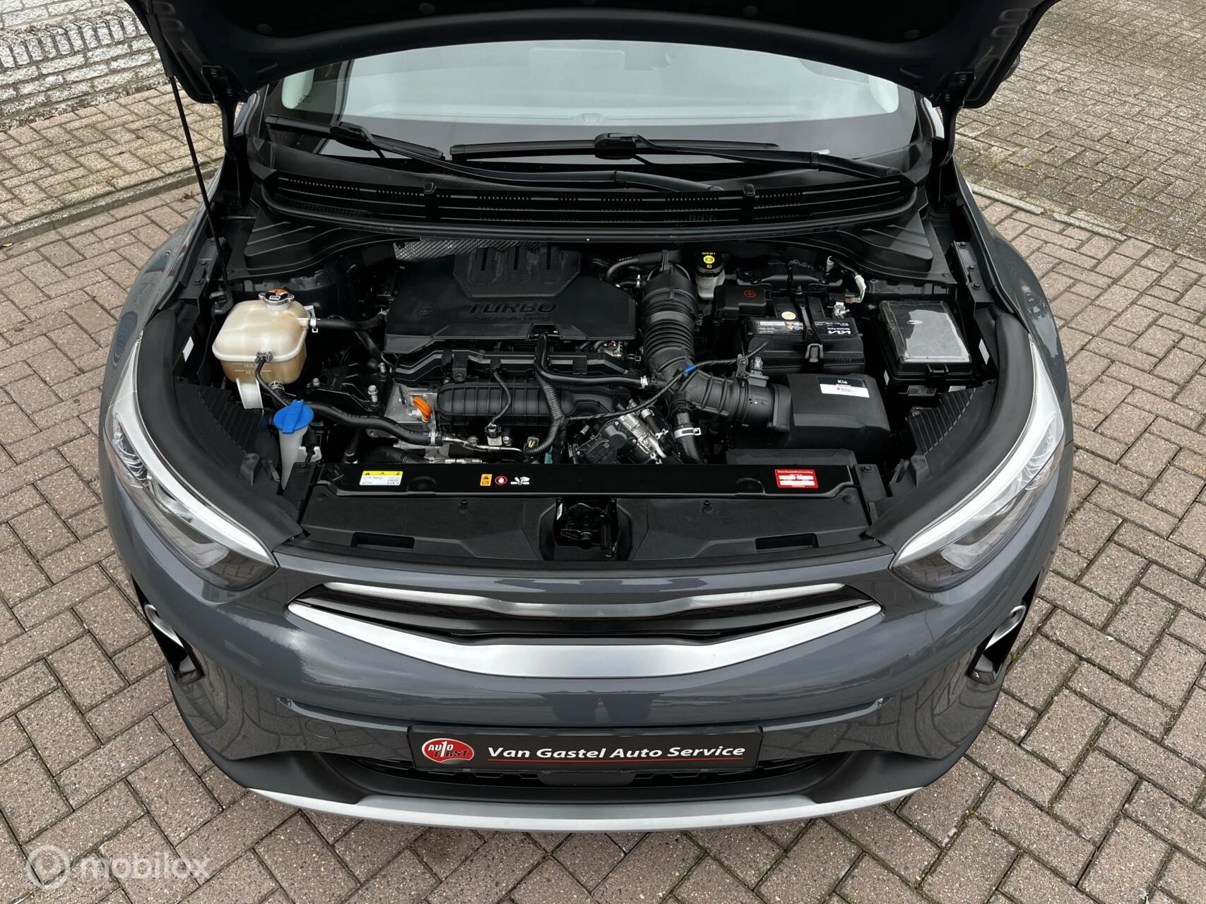 Hoofdafbeelding Kia Stonic