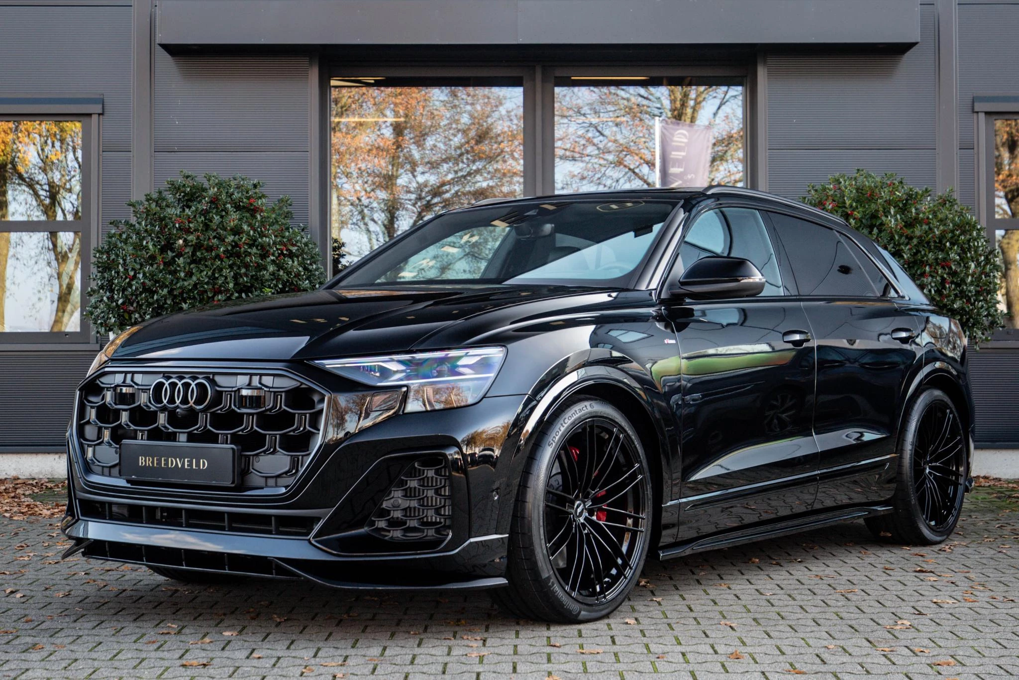 Hoofdafbeelding Audi Q8