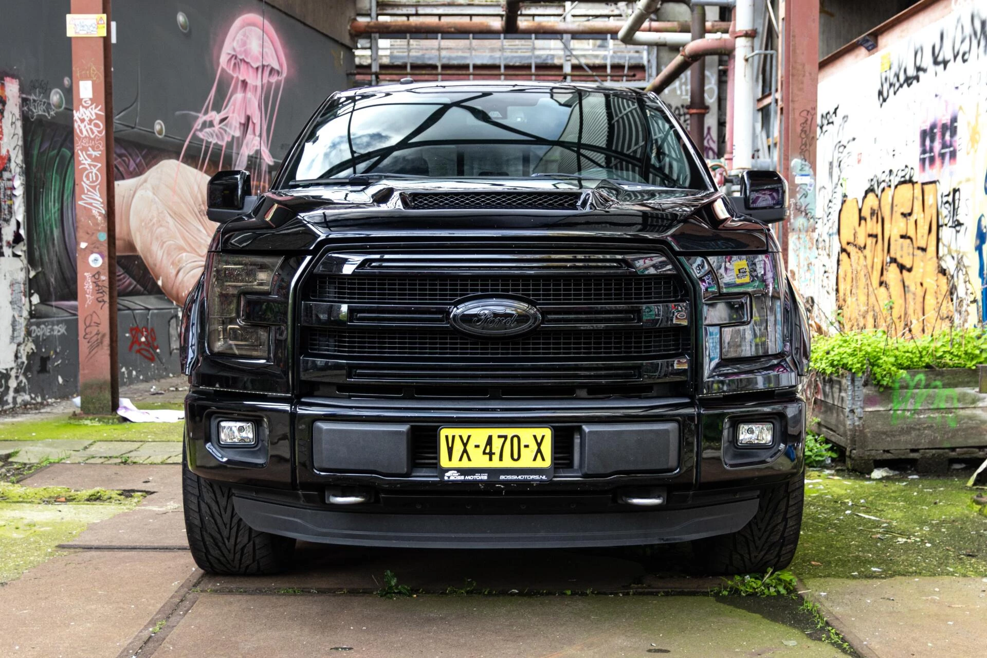Hoofdafbeelding Ford F-150