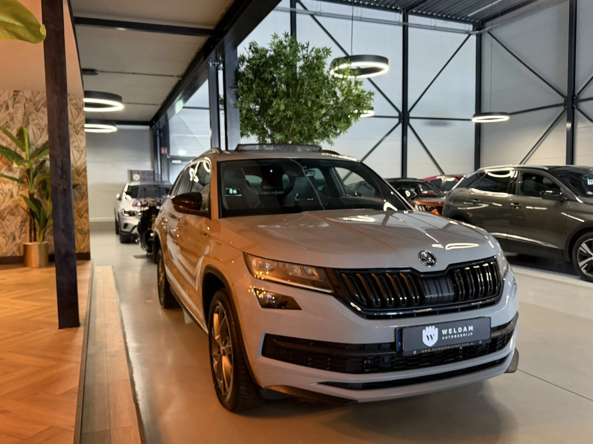Hoofdafbeelding Škoda Kodiaq