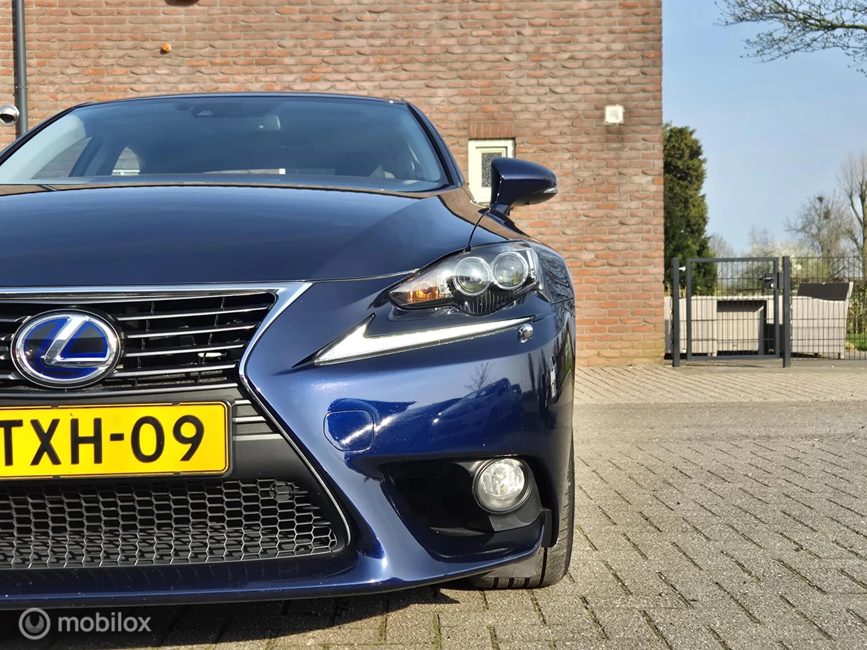 Hoofdafbeelding Lexus IS