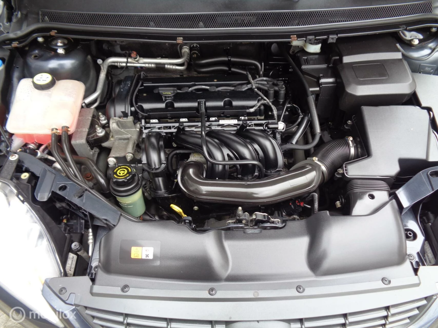 Hoofdafbeelding Renault Austral