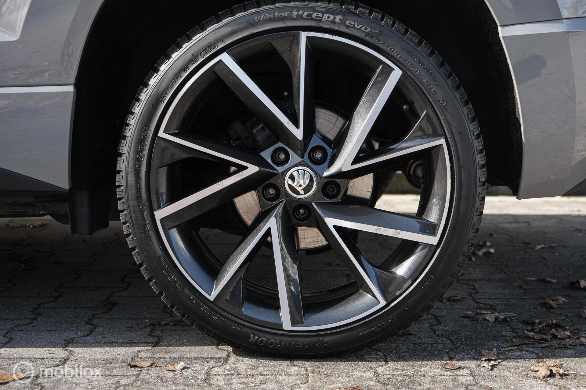 Hoofdafbeelding Škoda Karoq