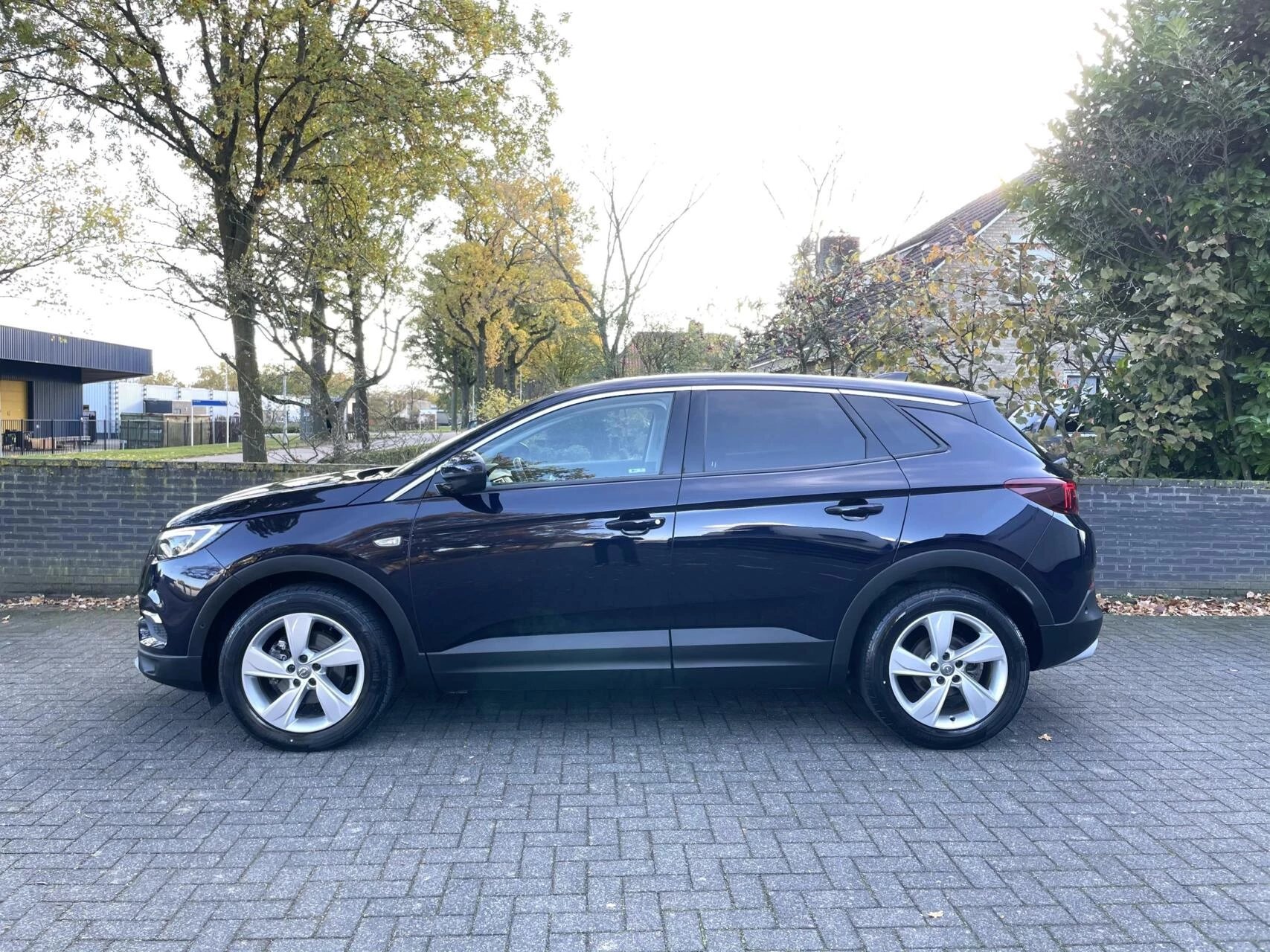 Hoofdafbeelding Opel Grandland X