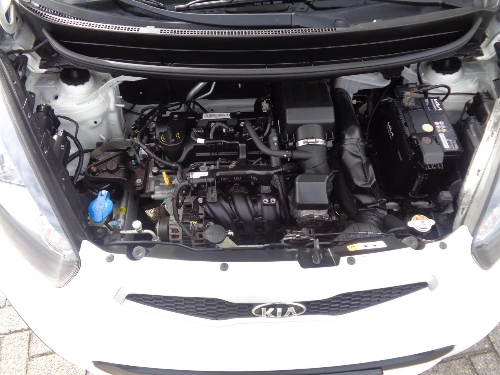 Hoofdafbeelding Kia Picanto