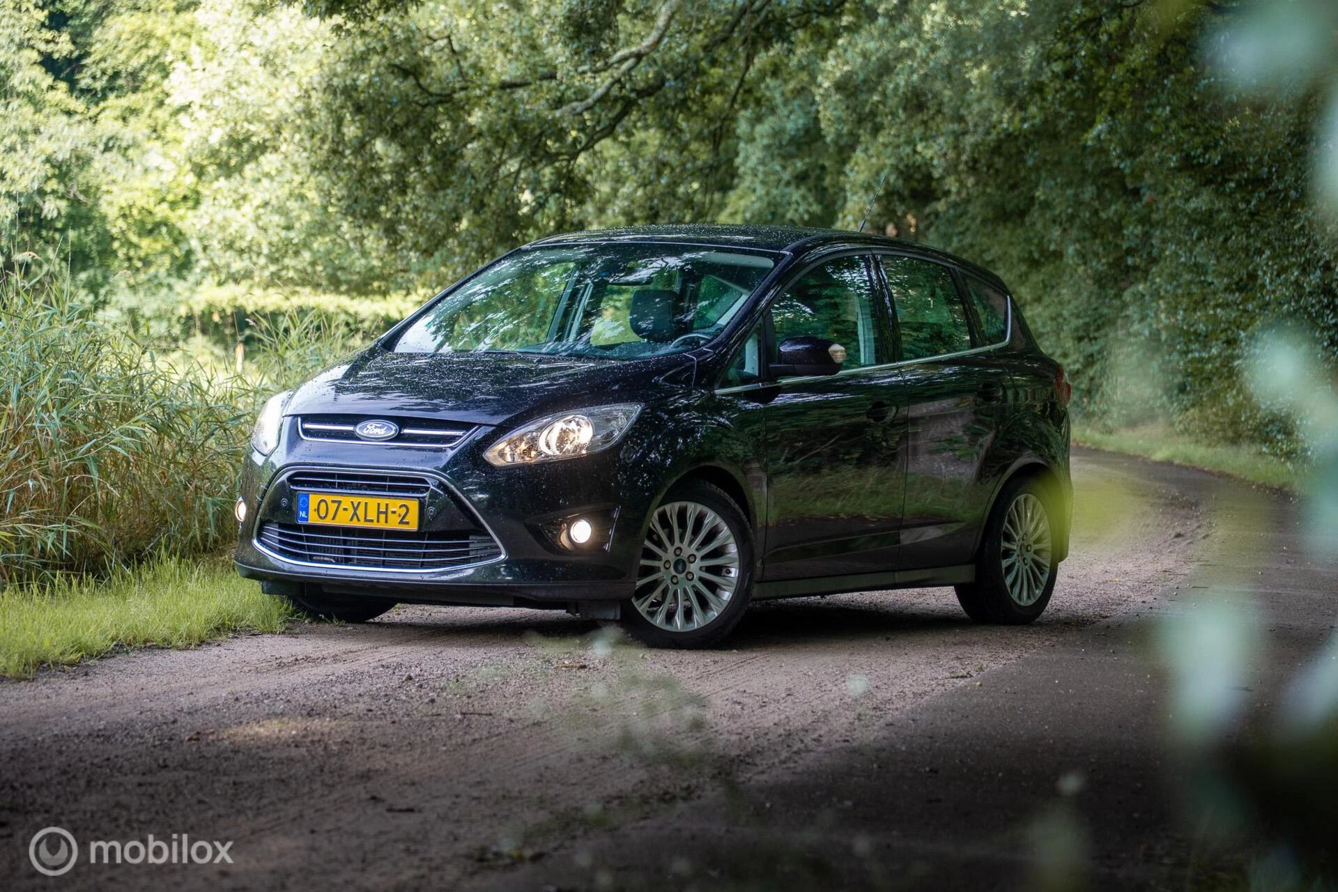 Hoofdafbeelding Ford C-MAX