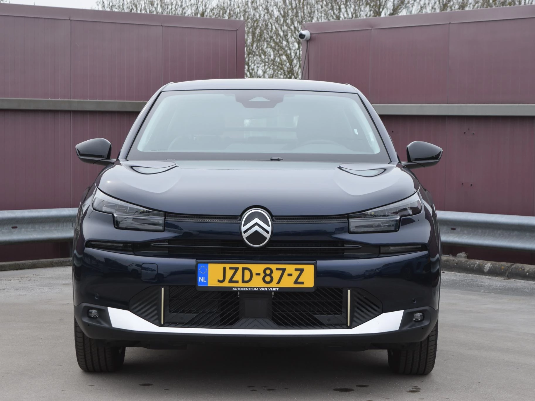 Hoofdafbeelding Citroën ë-C4