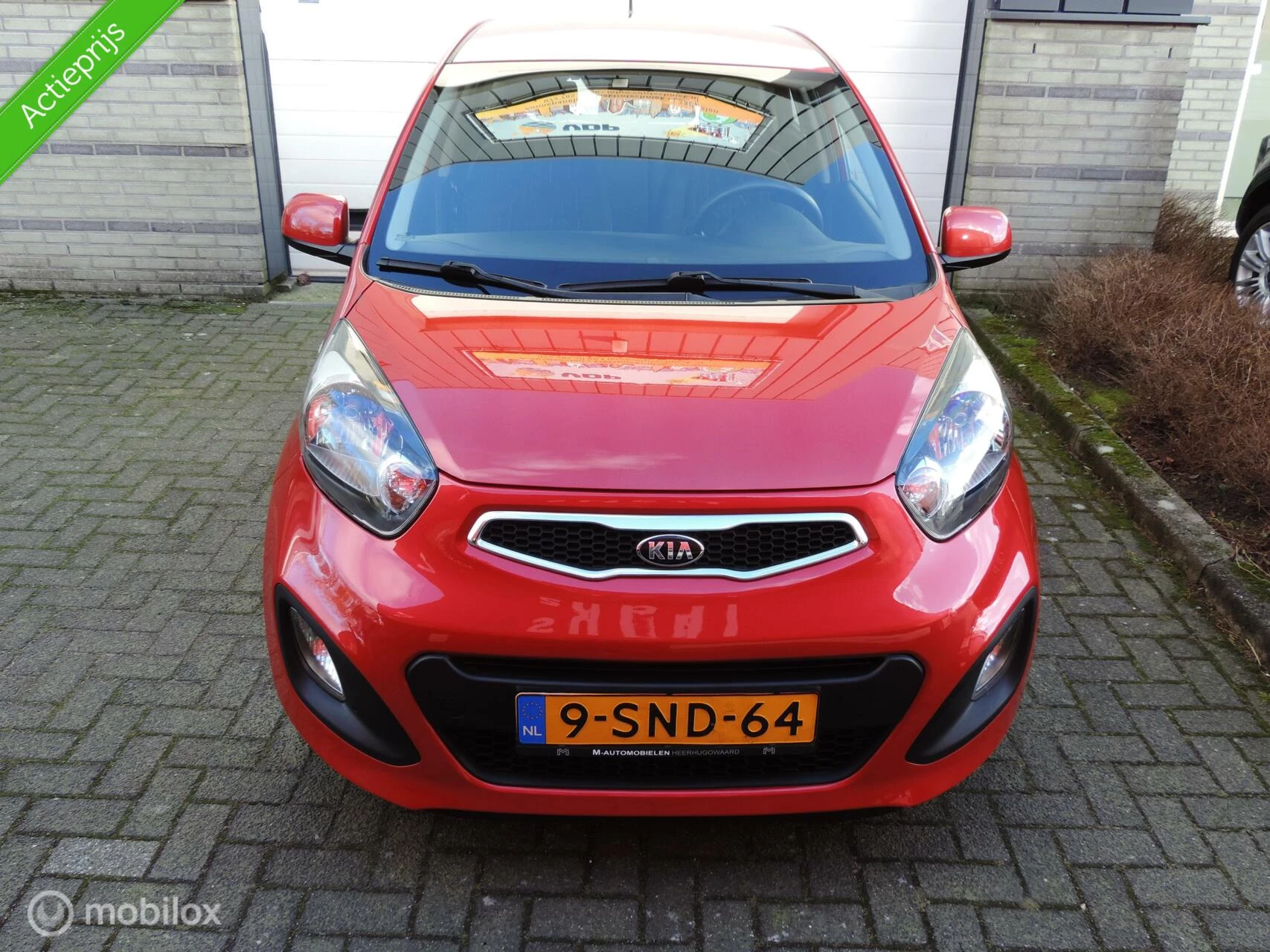 Hoofdafbeelding Kia Picanto