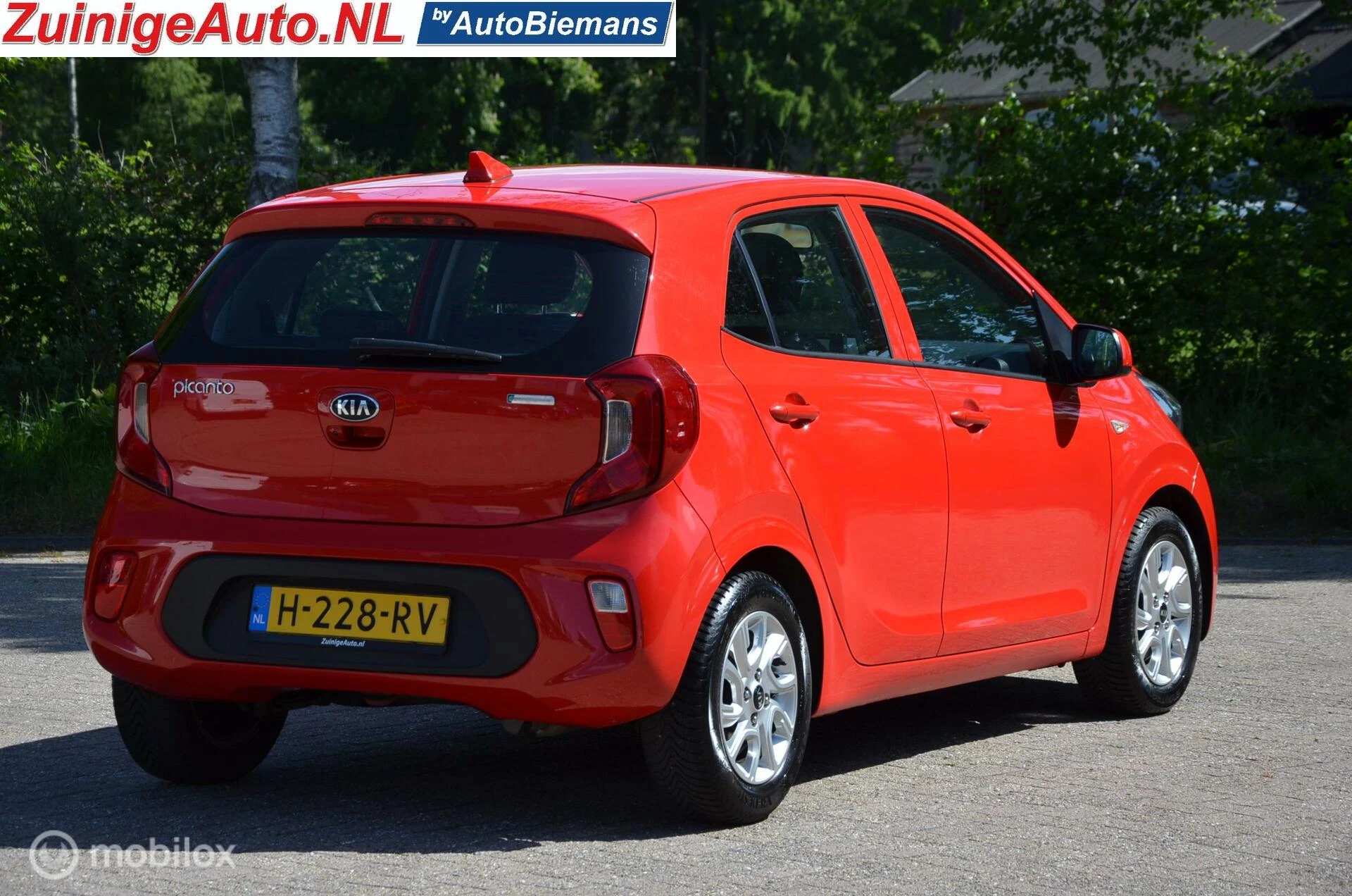 Hoofdafbeelding Kia Picanto